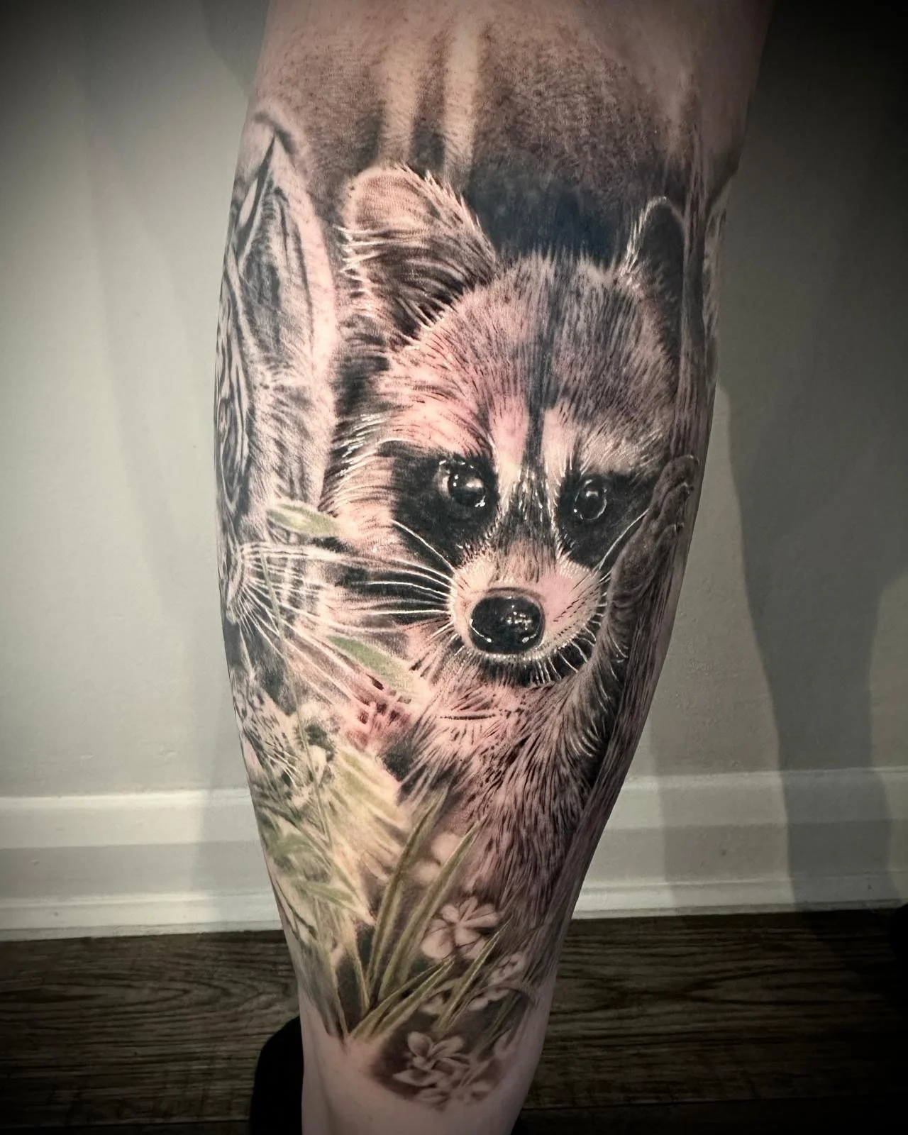 Realism black and grey raccoon