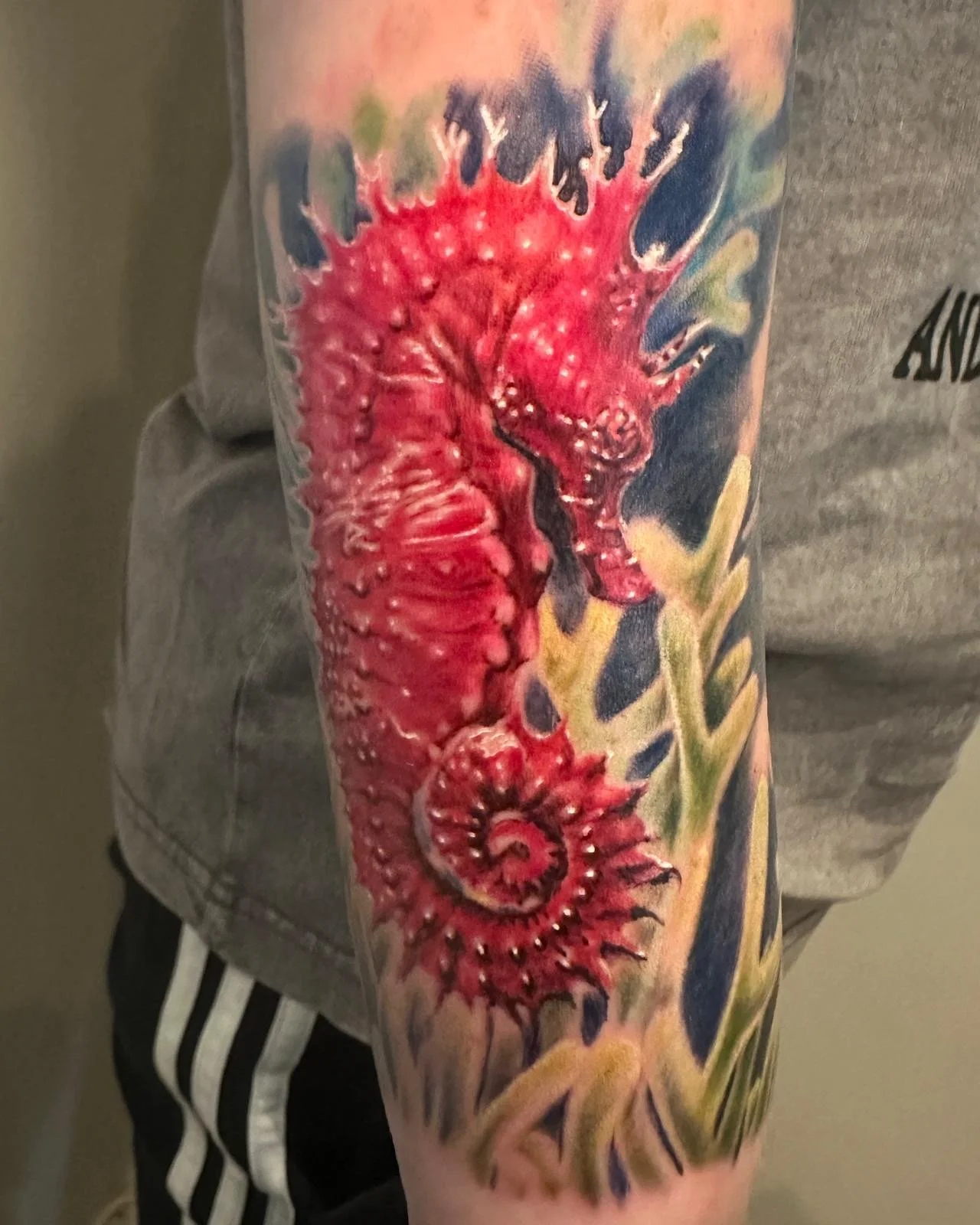 Realism colour sea horse 