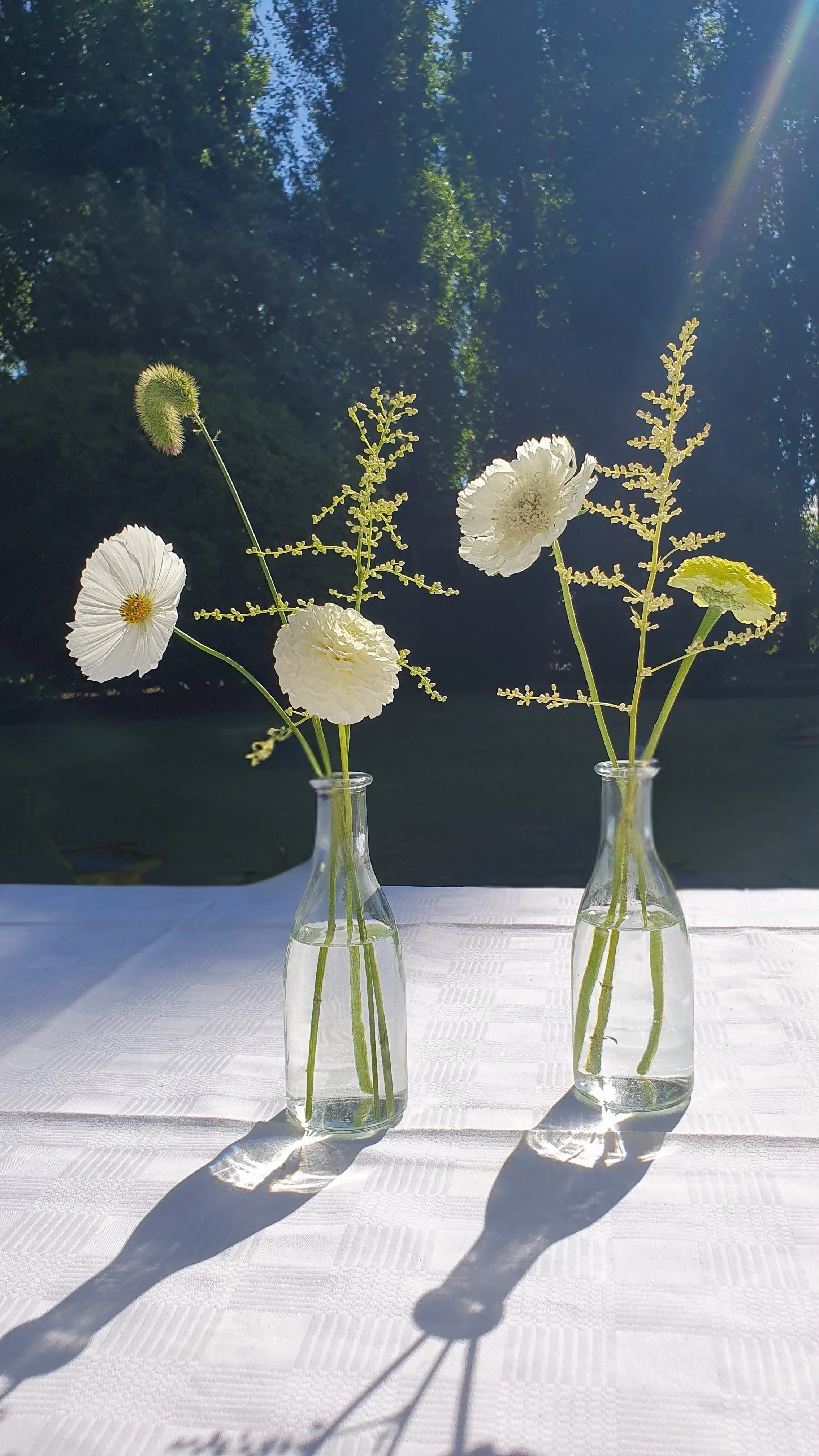 Twee glazen vazen met witte bloemen en gras, gezet op een wit tafellaken, met de zon die schijnt, en een bos of bomen op de achtergrond.