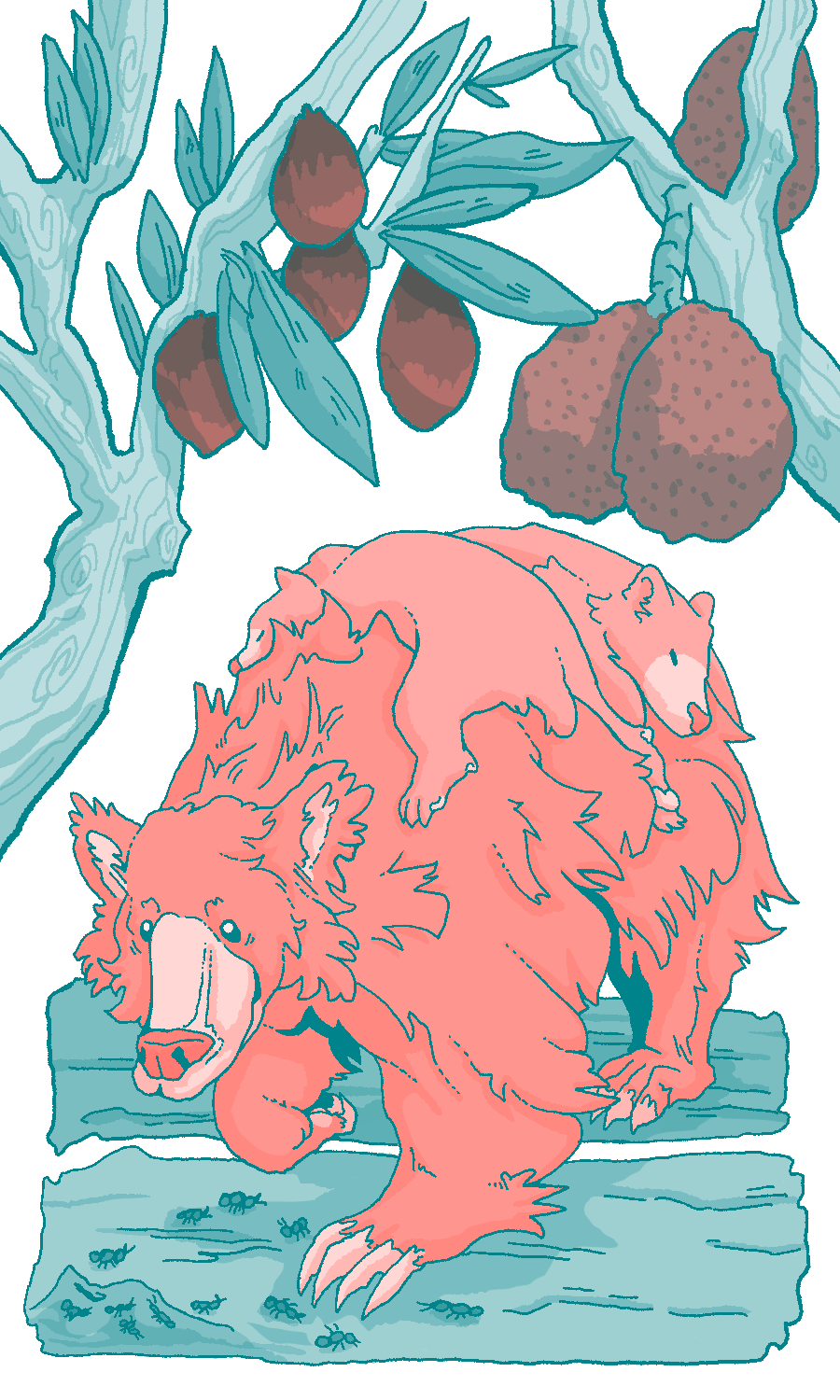 Sloth_Bear.png