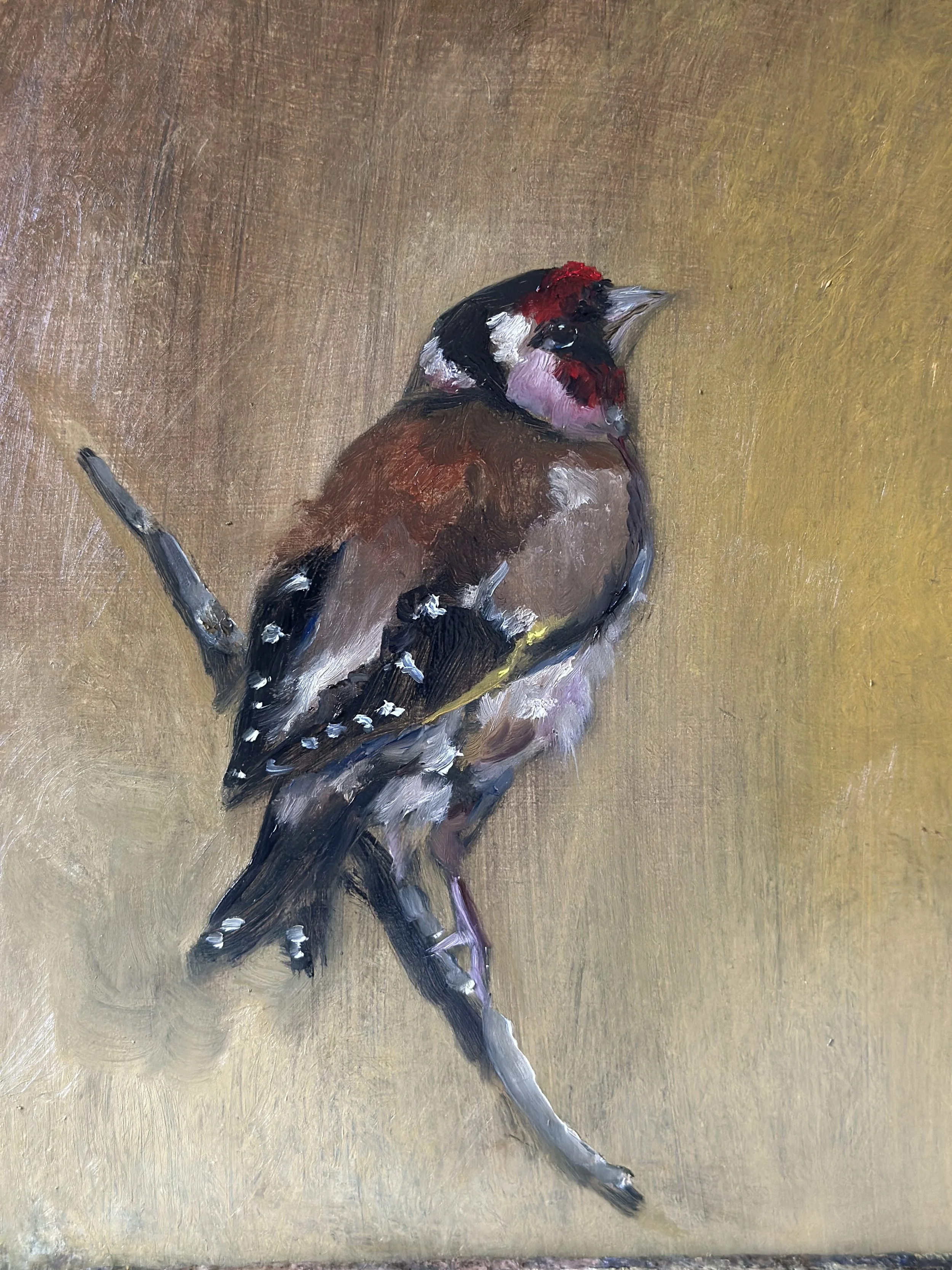 Goldfinch.jpeg