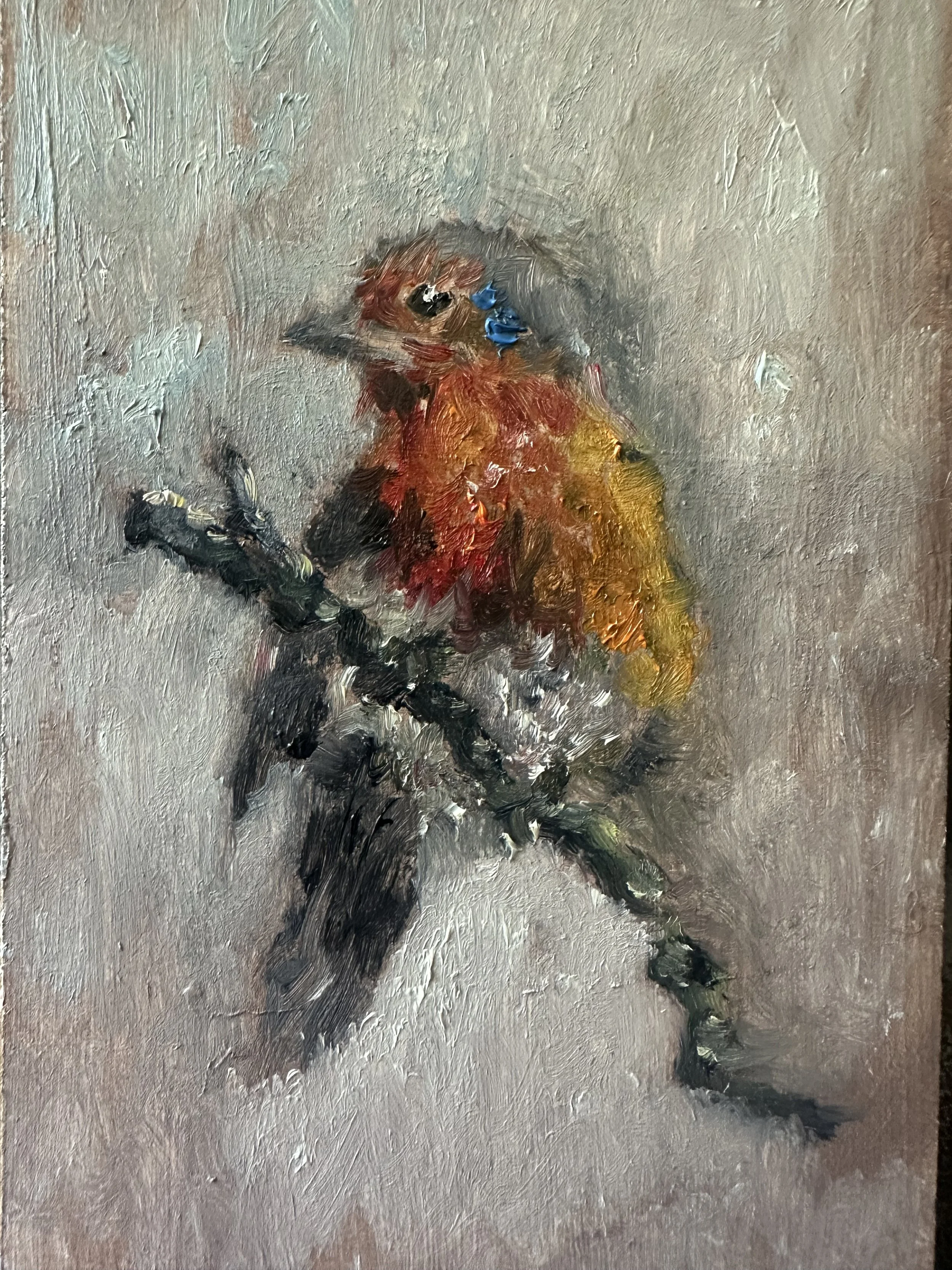Robin Redbreast .jpeg