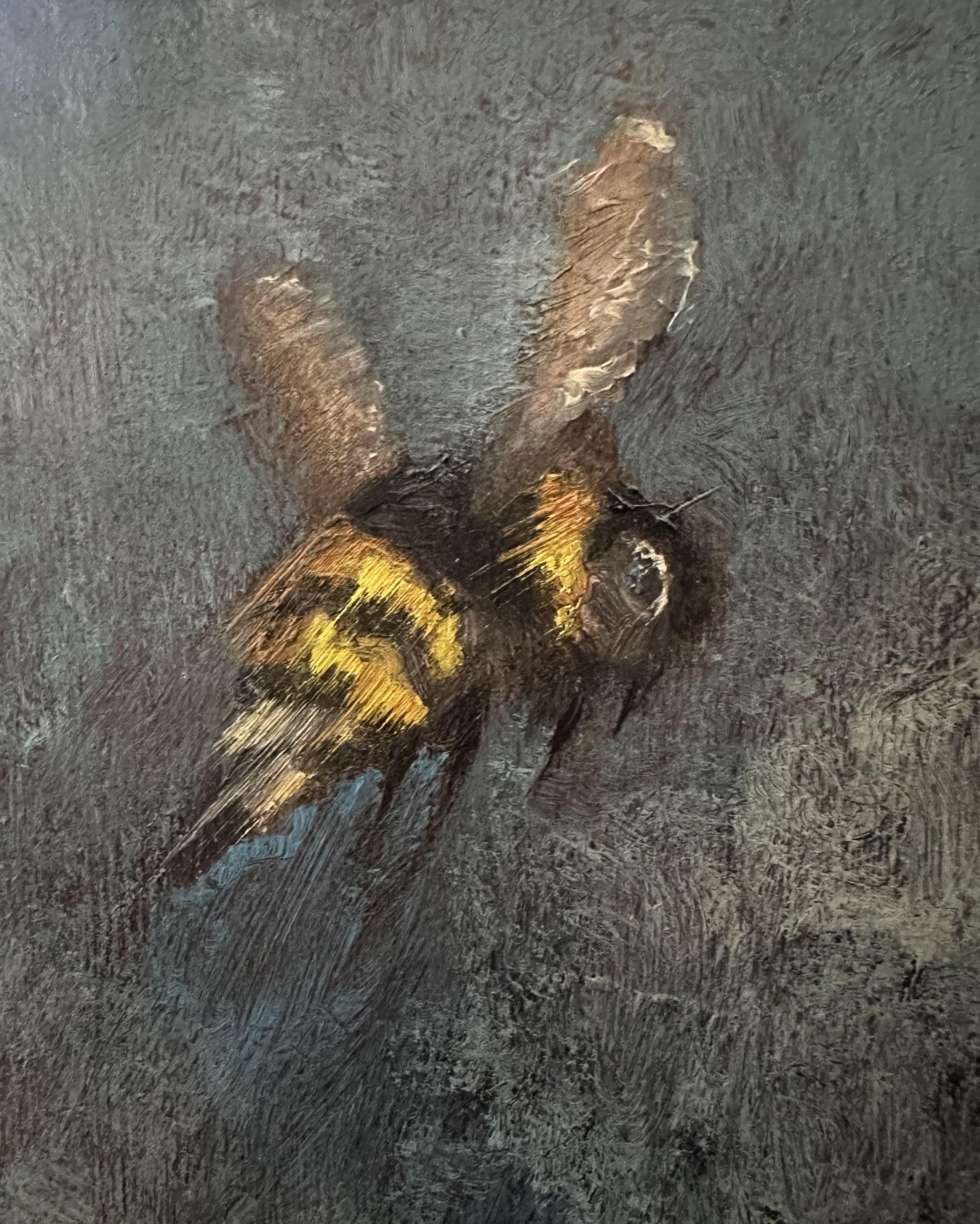Buzzy Bee.jpeg