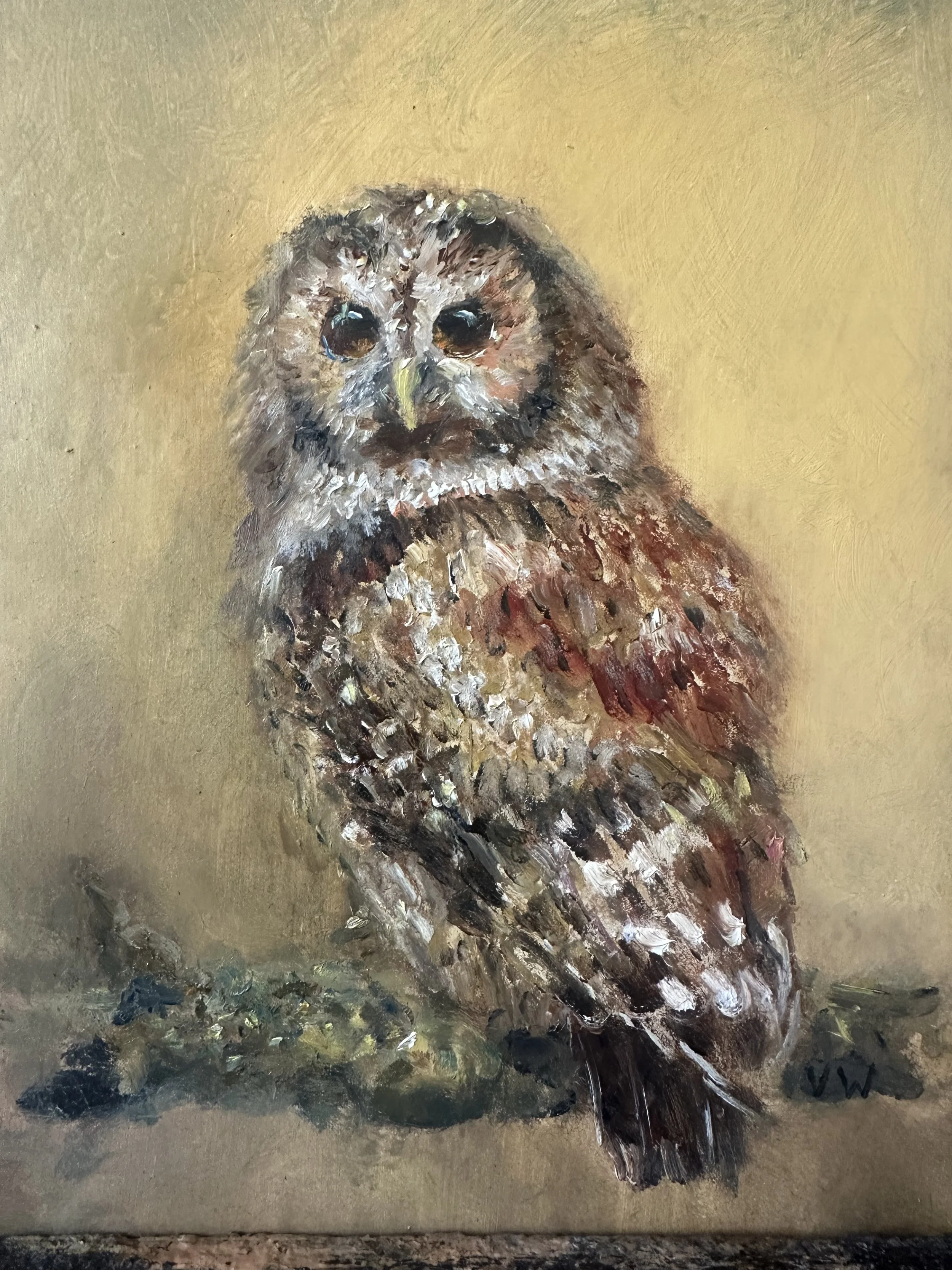 Hoo's Looking at You