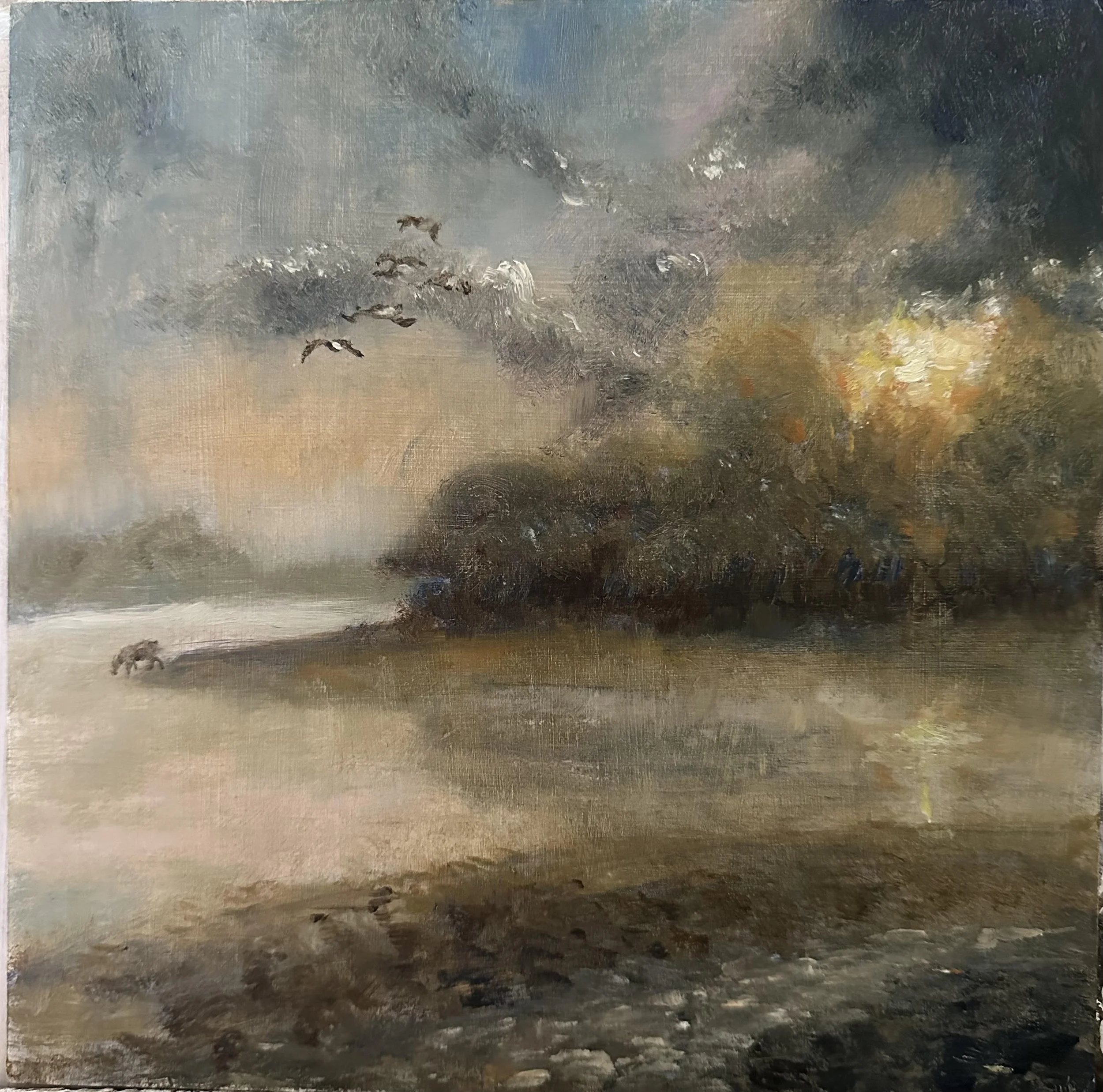 Sunrise on Darwell.jpg