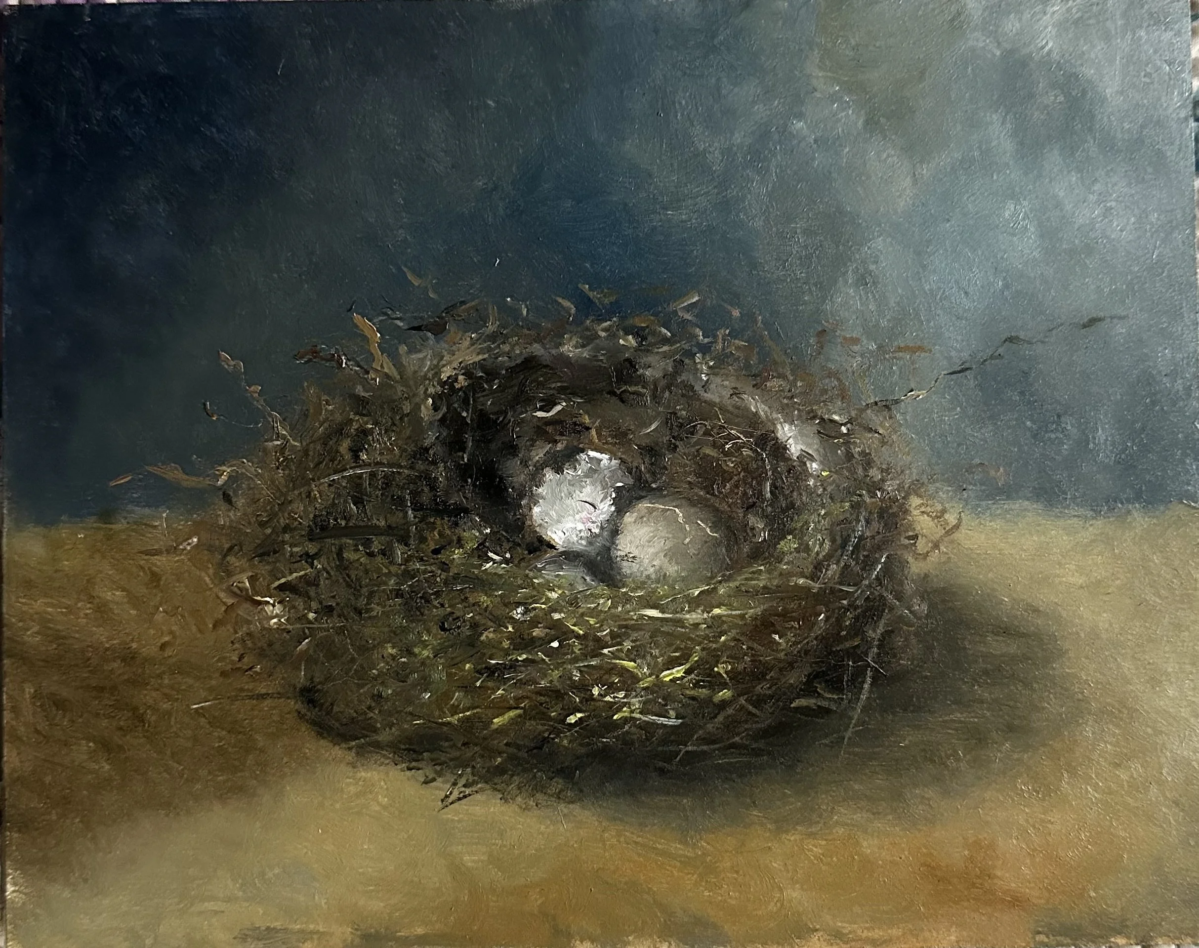 Nest and Eggs.jpg