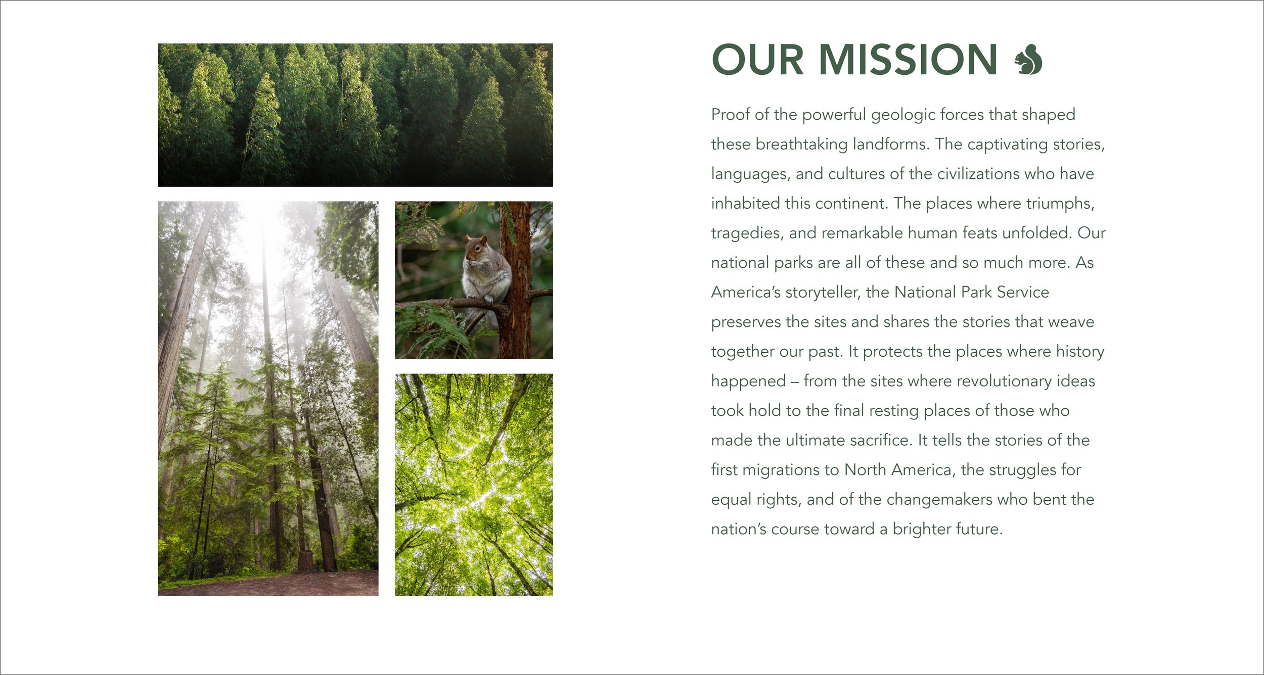 Our Mission.jpg