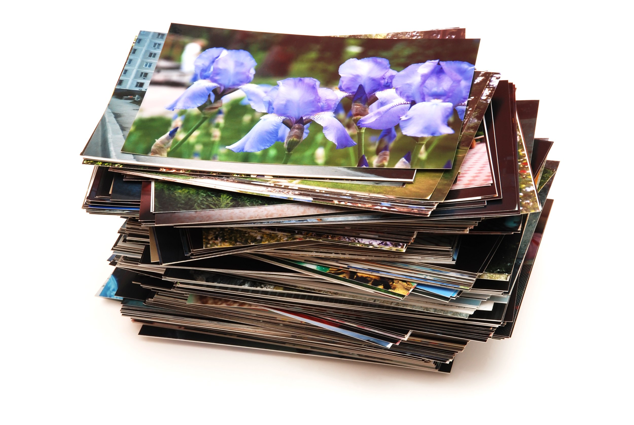 A stack of printed photographs, the top one showing purple iris flowers in bloom.