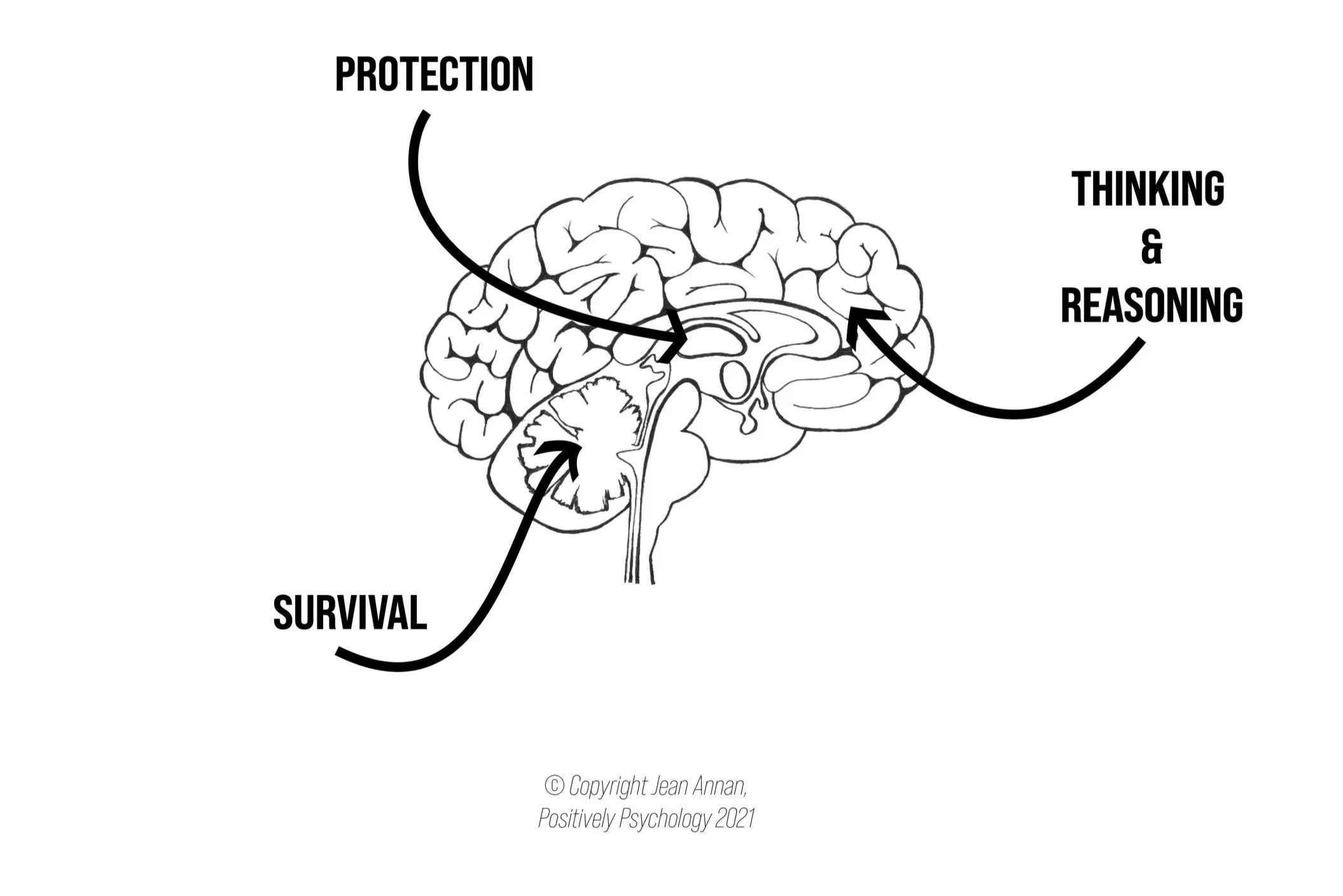 Why Do Our Brains Make Us Feel Anxious? — Positively Psychology