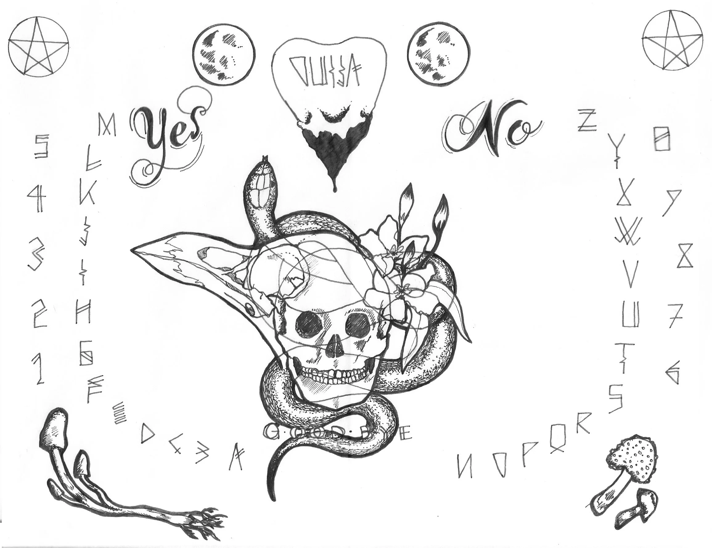 Illustrations