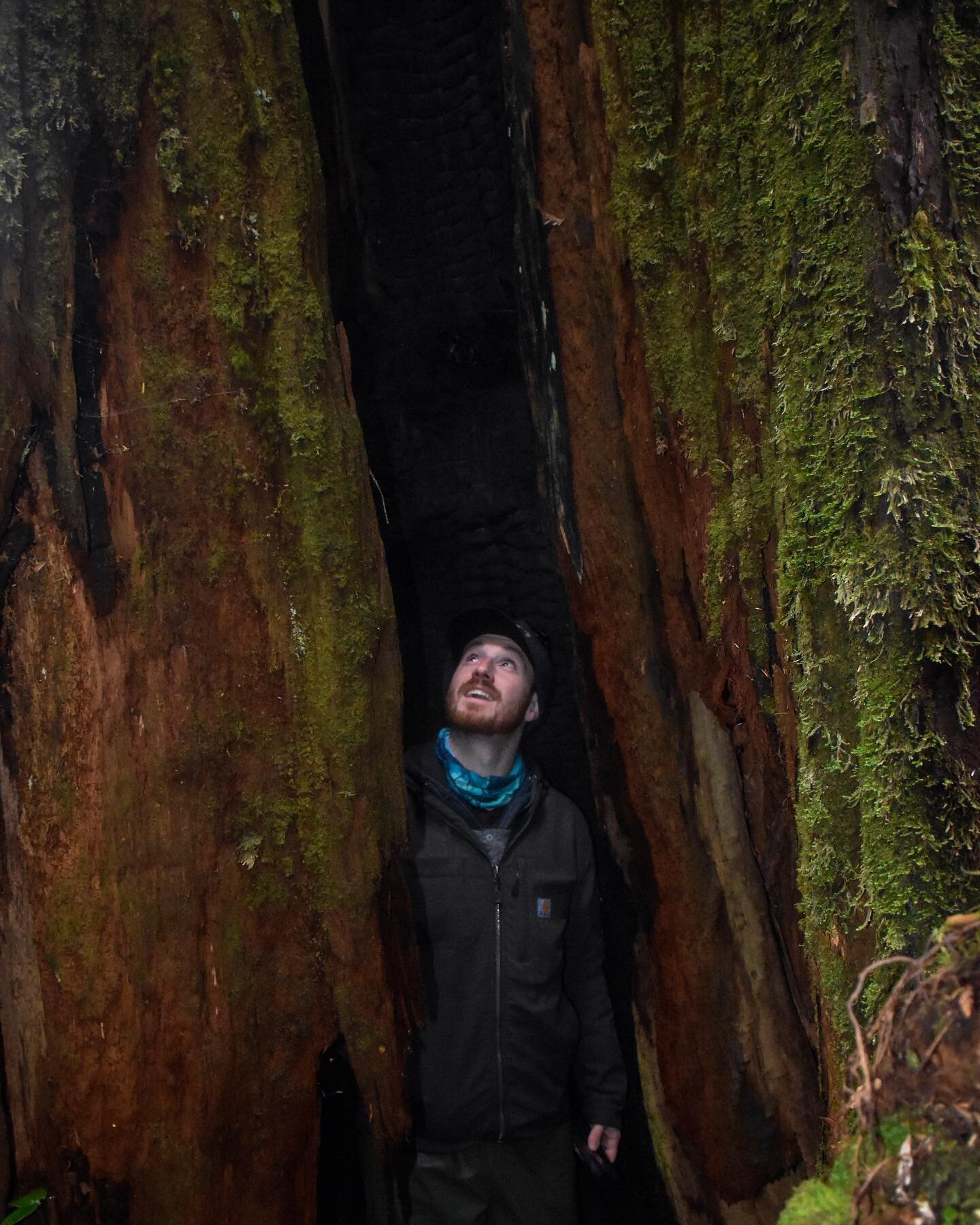 It's hard to explain the feeling you get when you explore Haida Gwaii and Gwaii Haanas, but we feel one of our guests from May 2022 wrote it beautifully here; 

⭐⭐⭐⭐⭐

&quot;My family just returned from Moresby&rsquo;s 4 day tour. To say it was excep