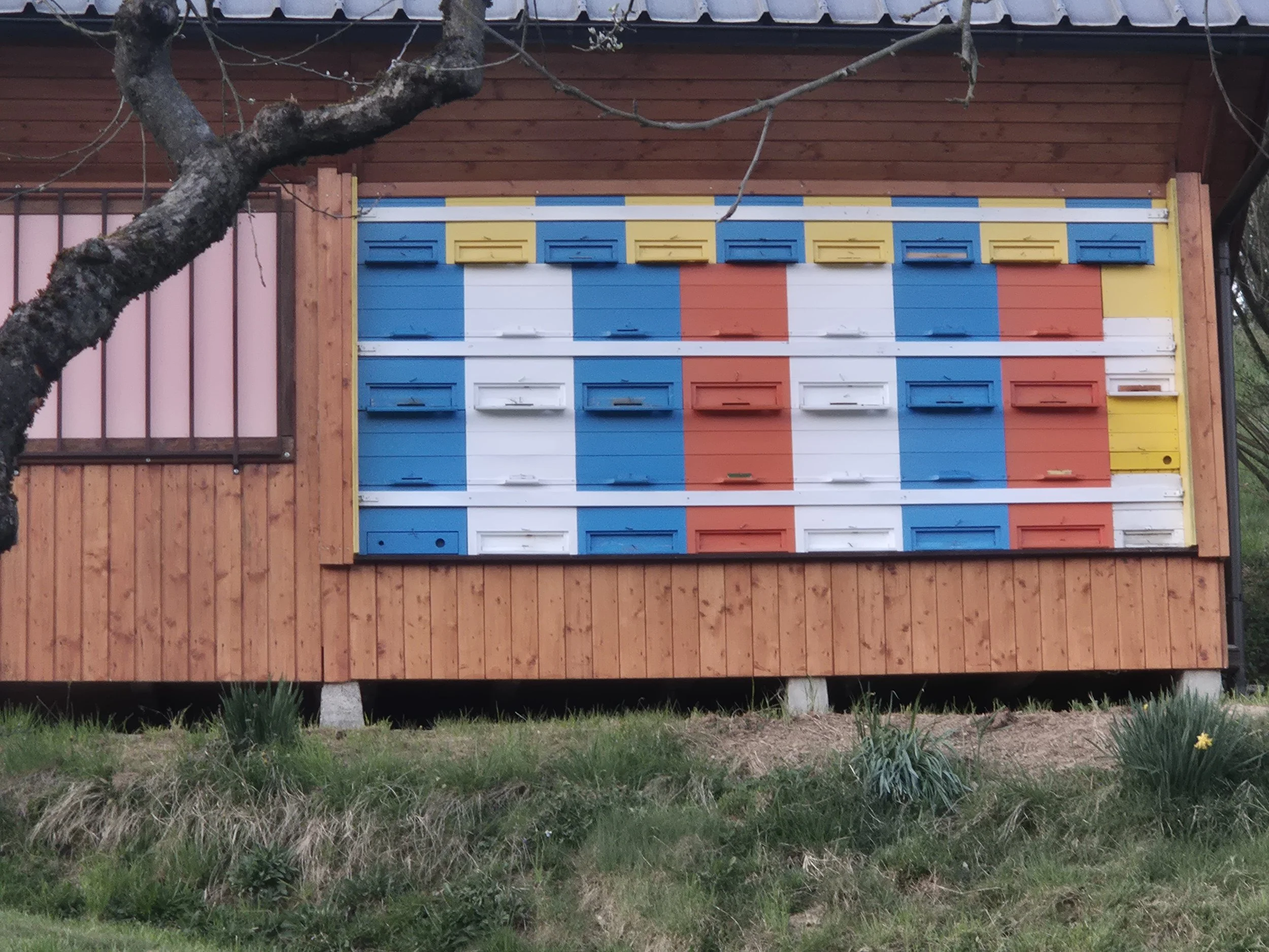 Colorful beehives in Slovenia
