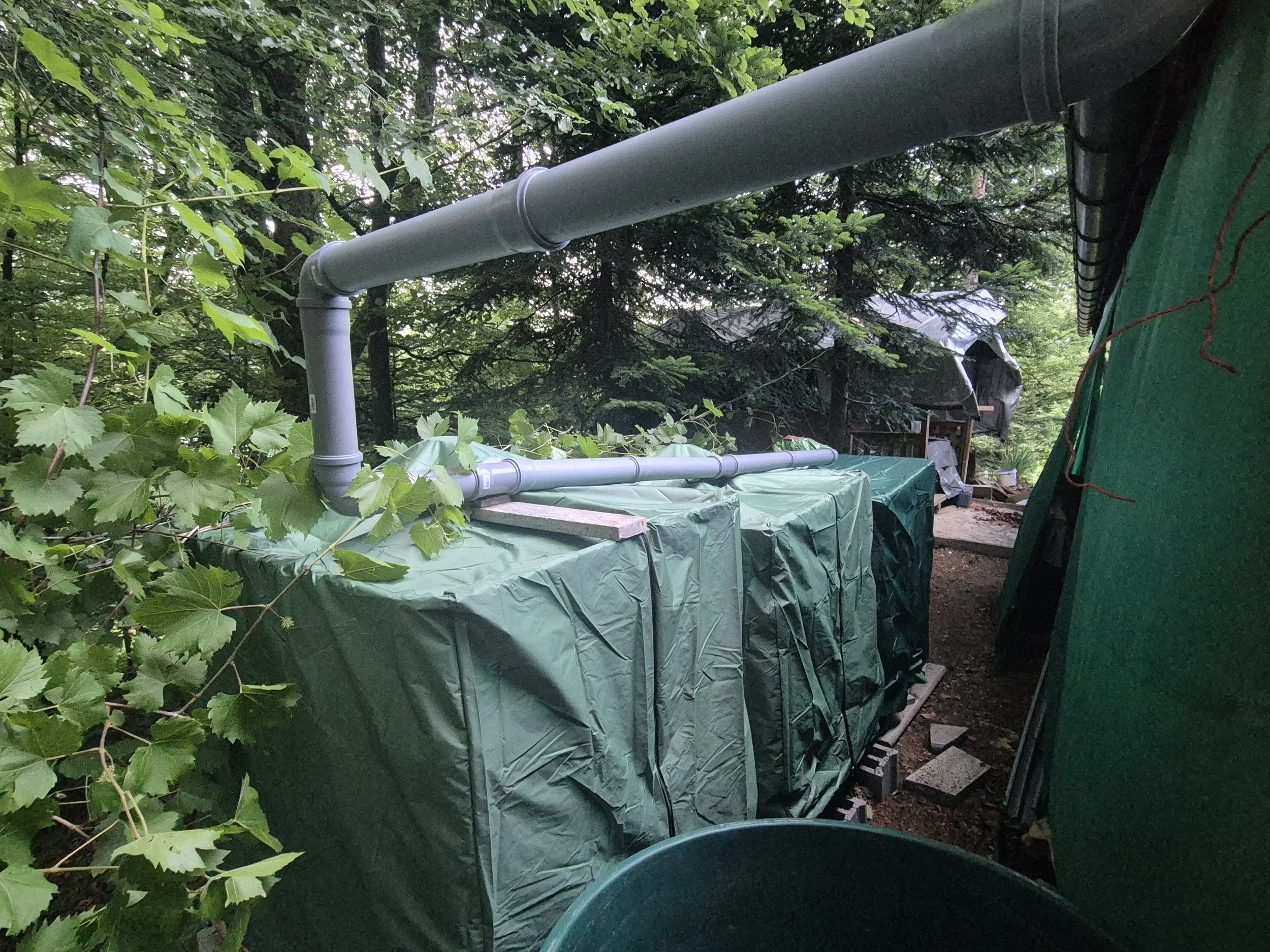 Building a rainwater harvesting system for the future orchard