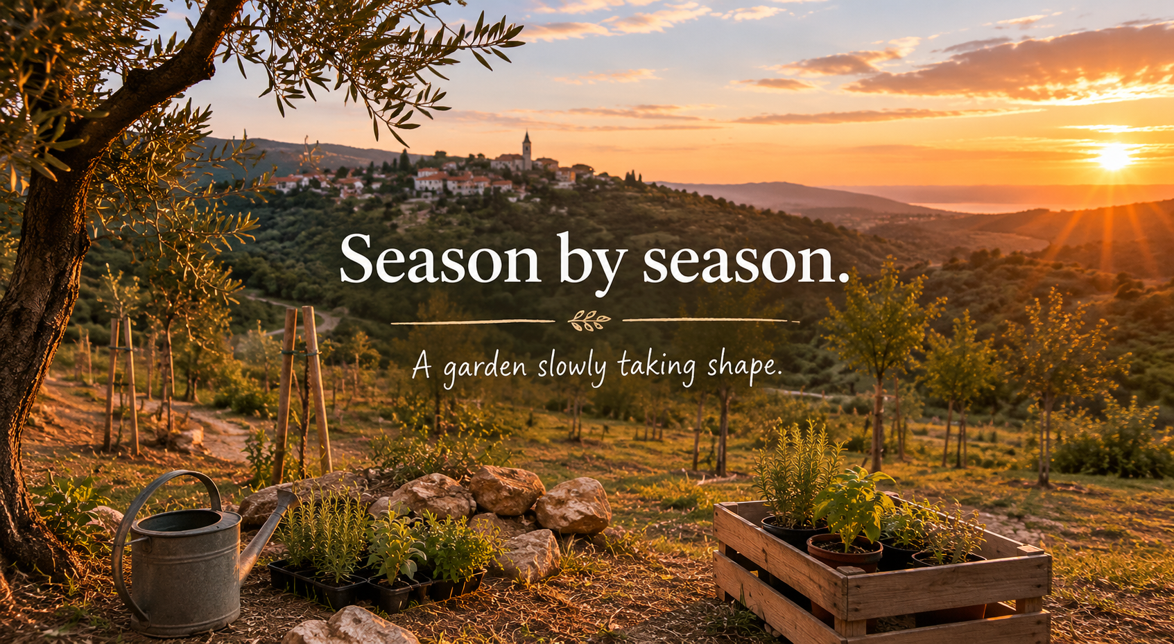 A garden slowly taking shape in Slovenian Istria