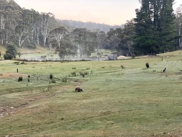 Identifying False Assumptions