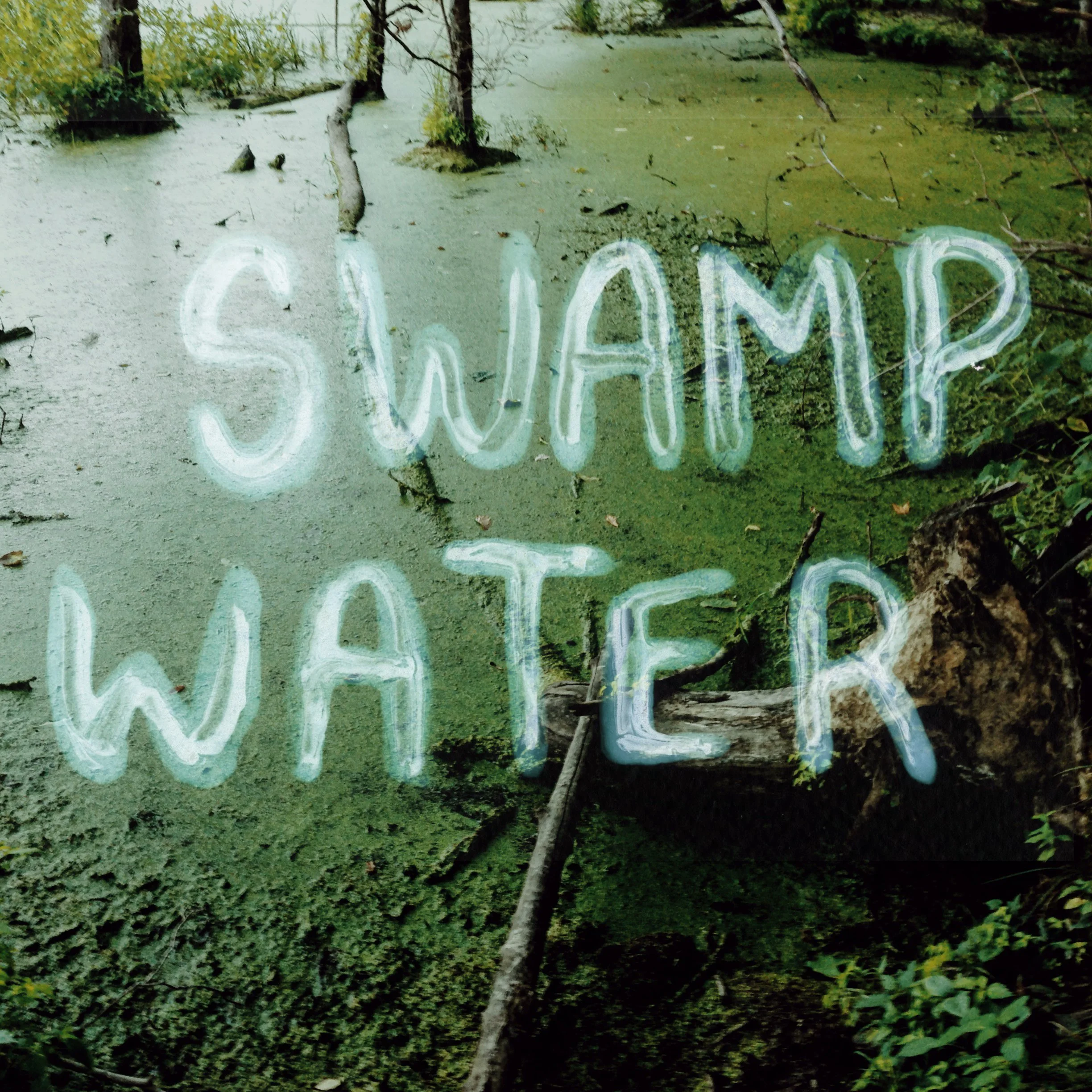 Swamp Water