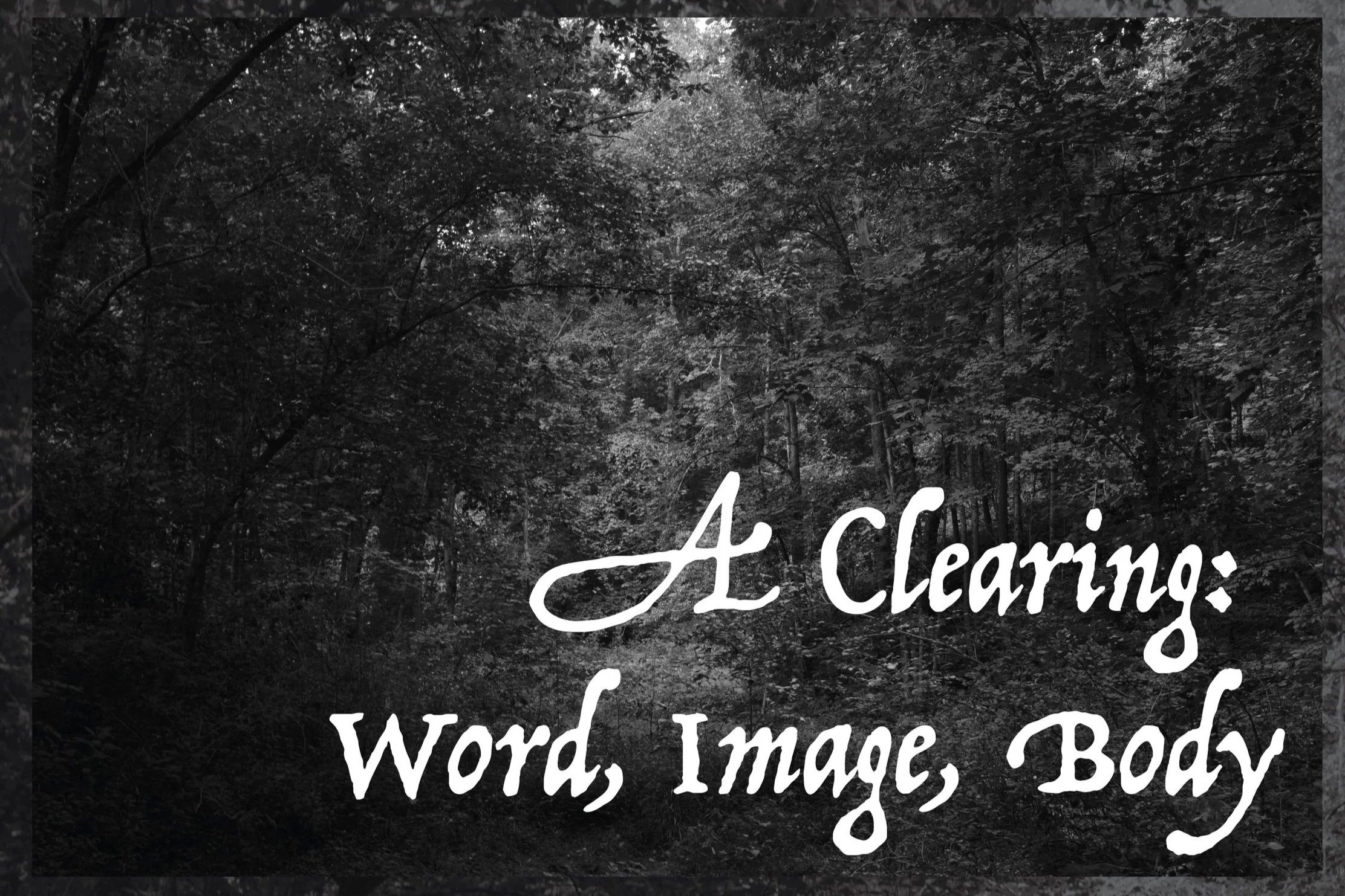 Greyscale photograph of a sunlit clearing in the woods by Marcus Mooris overlaid with the title of the exhibition