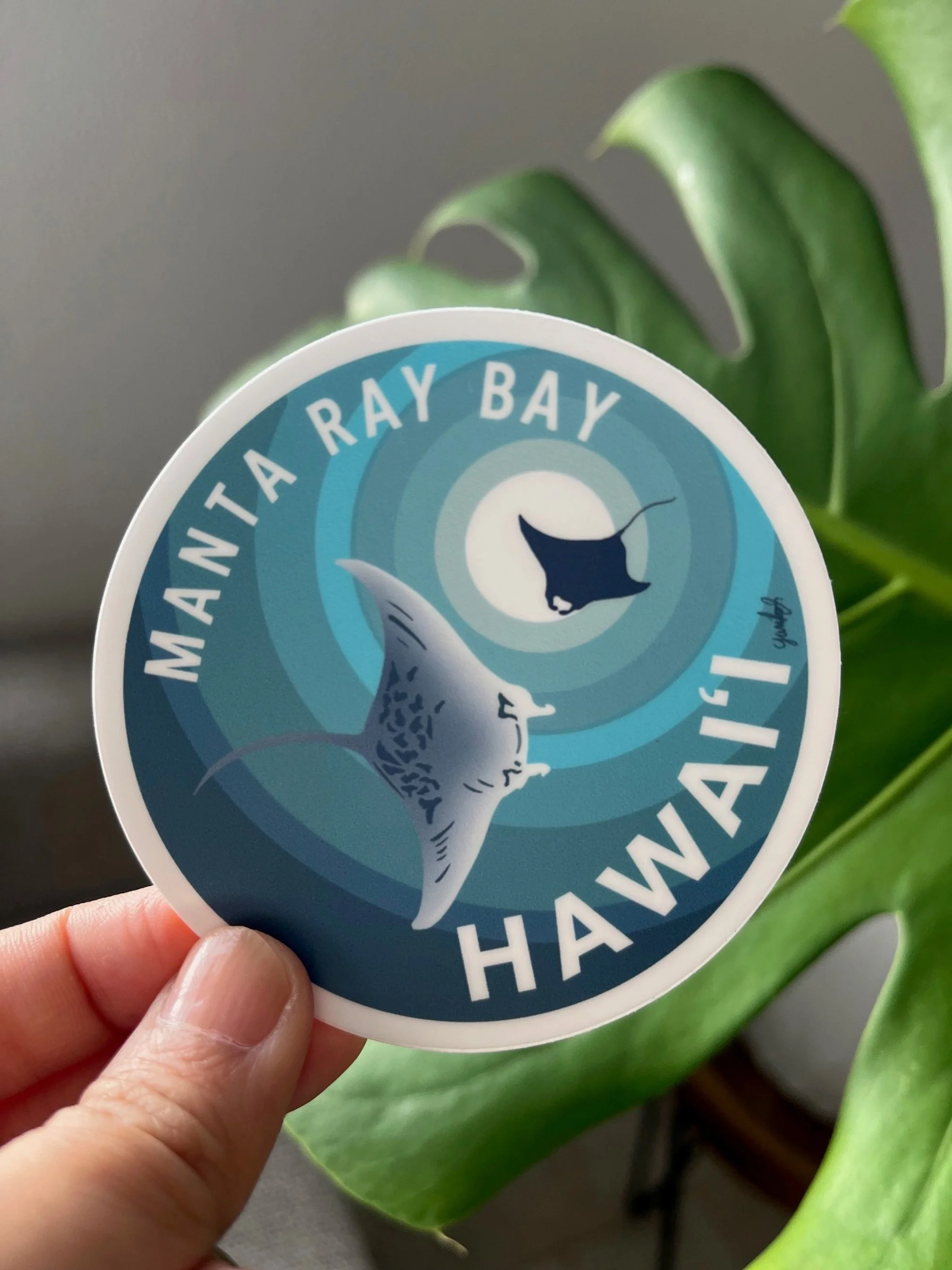Manta Ray Bay Sticker - Big Island
