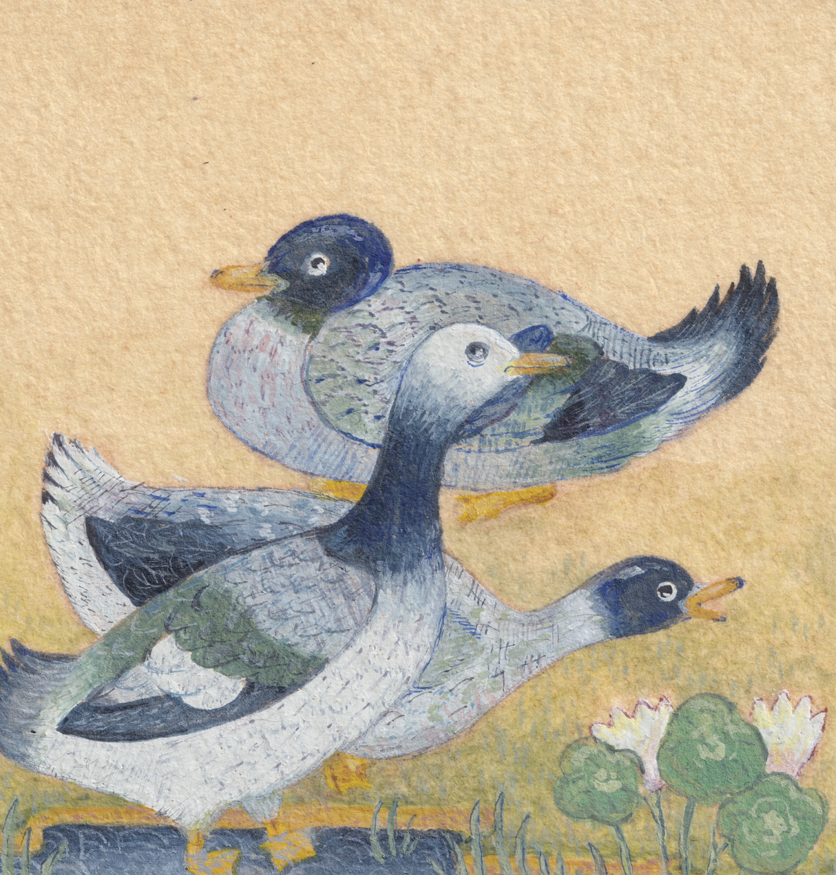 Ducks by the Pond, 2026