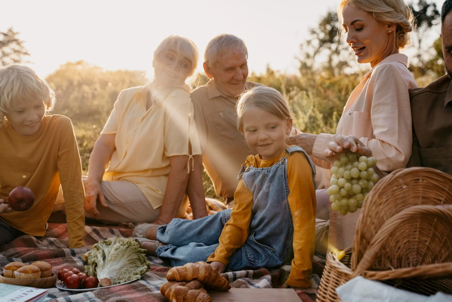 a family of different generations on a picnic in a farm