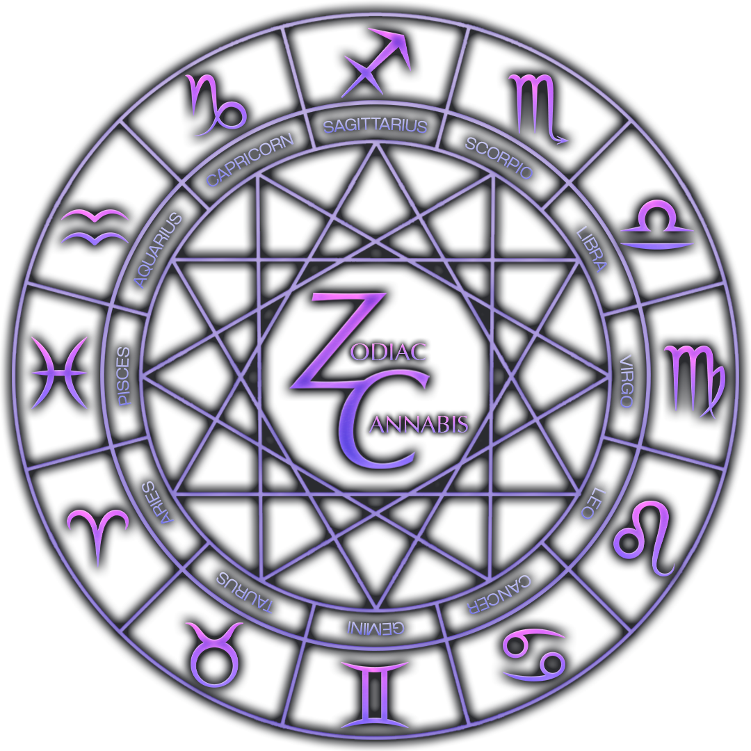 AD781F1F-B337-4A65-8779-CFEBA1FD034F.png