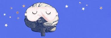 Sleep — The Foundation of Health (Not Just Rest)