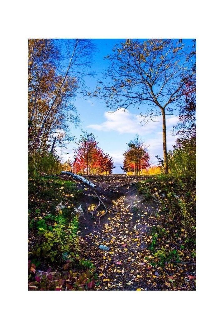 Fall+Magnet.jpg