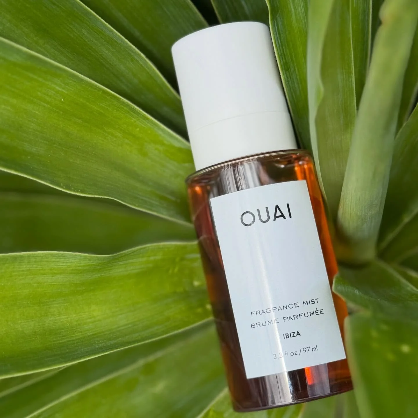 I absolutely am obsessed with this scent. I&rsquo;ve gotten so many compliments on it. And for a mist it last a pretty long time. I&rsquo;ve been using this every day since I got it! 

@influenster @theouai #complimentary #OUAIcation #OUAI