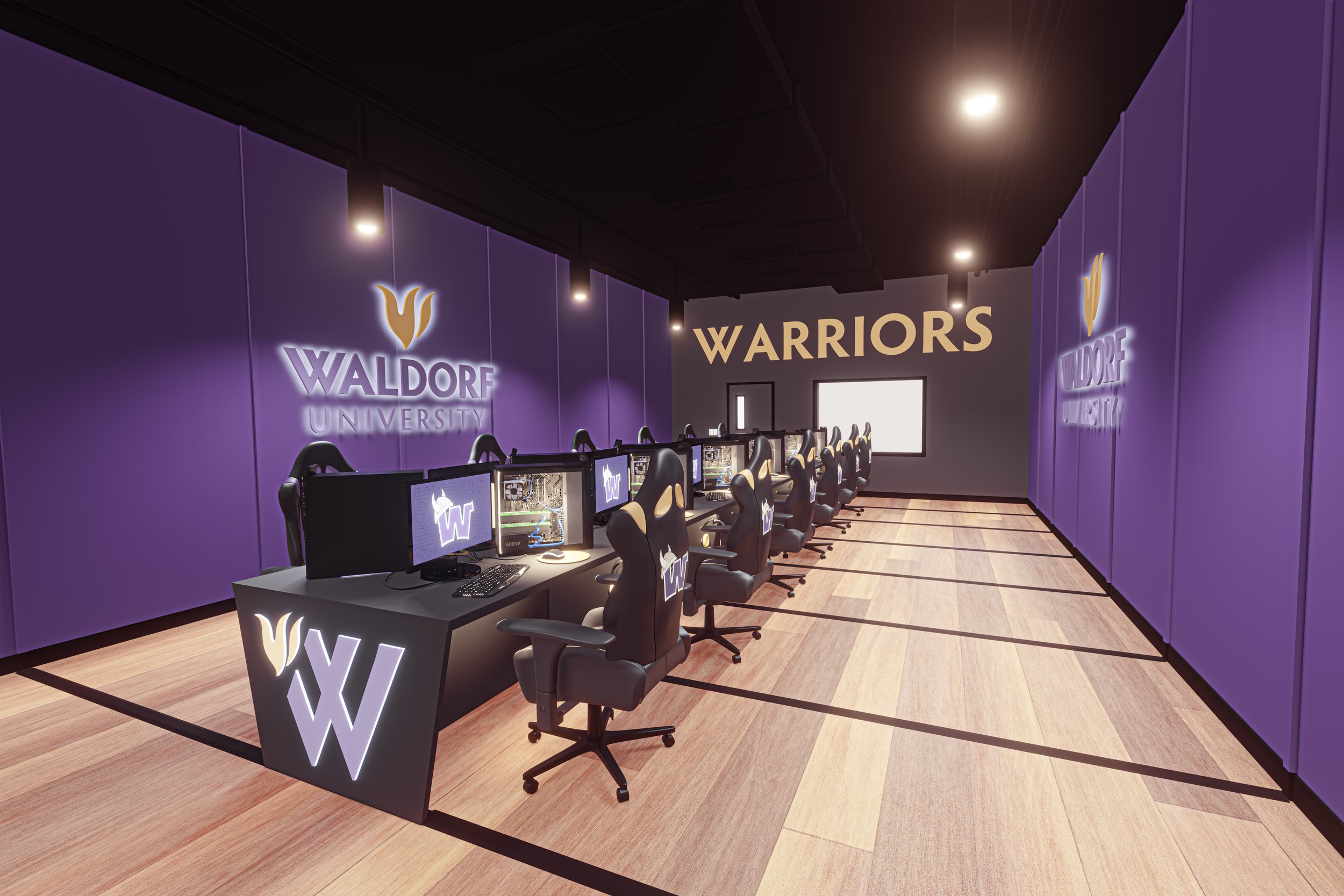 Esports_Waldorf Warriors_-1.jpg