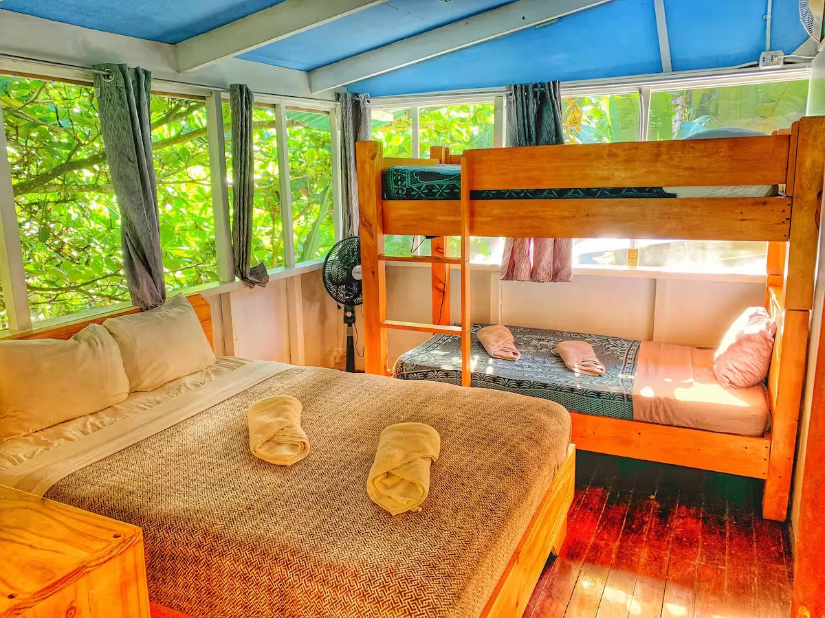 8333a42d-8f24-45e0-92a9-f06a81f4f3fd.jpg