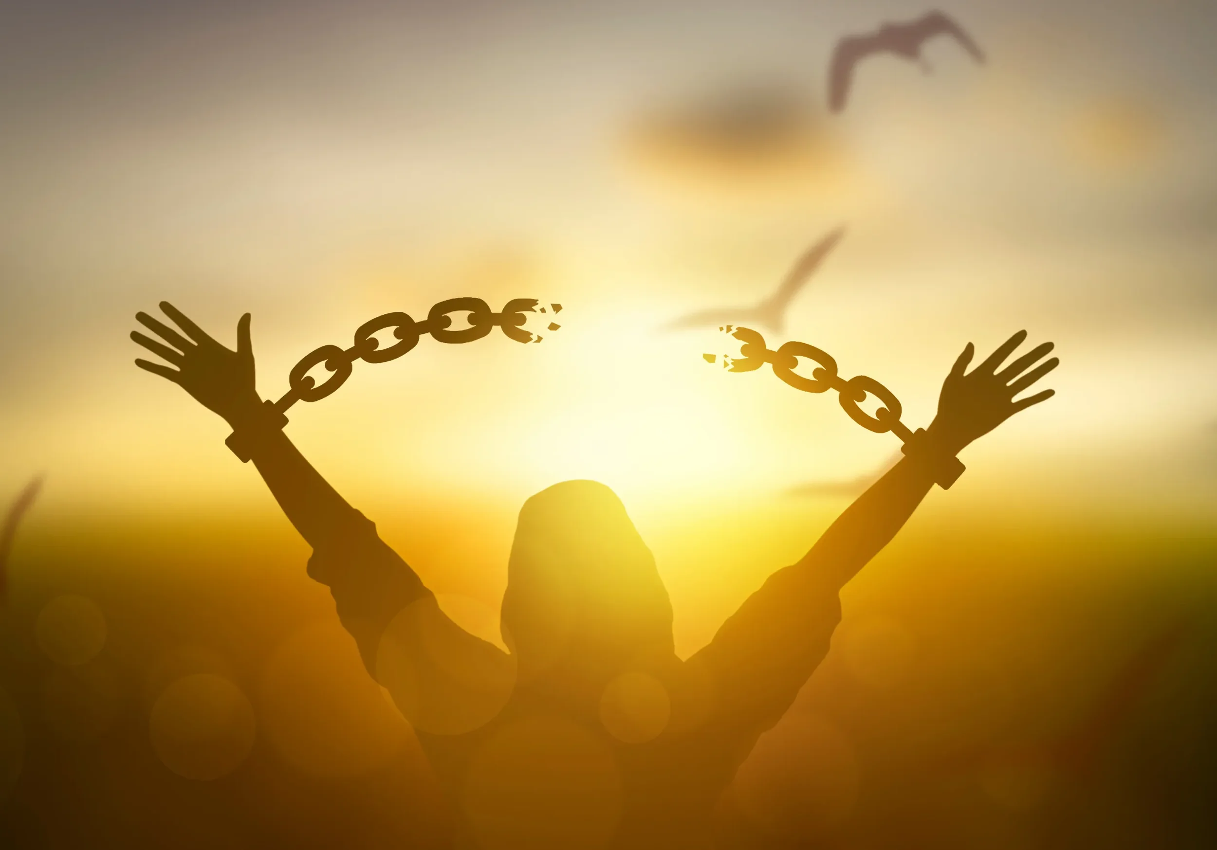 Breaking Free from the Narcissistic Web: Understanding Manipulation, DARVO, and the Path to Healing