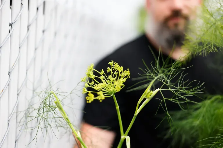 A person with a beard and black shirt outdoors near green plants, with focus on the plants in the foreground.