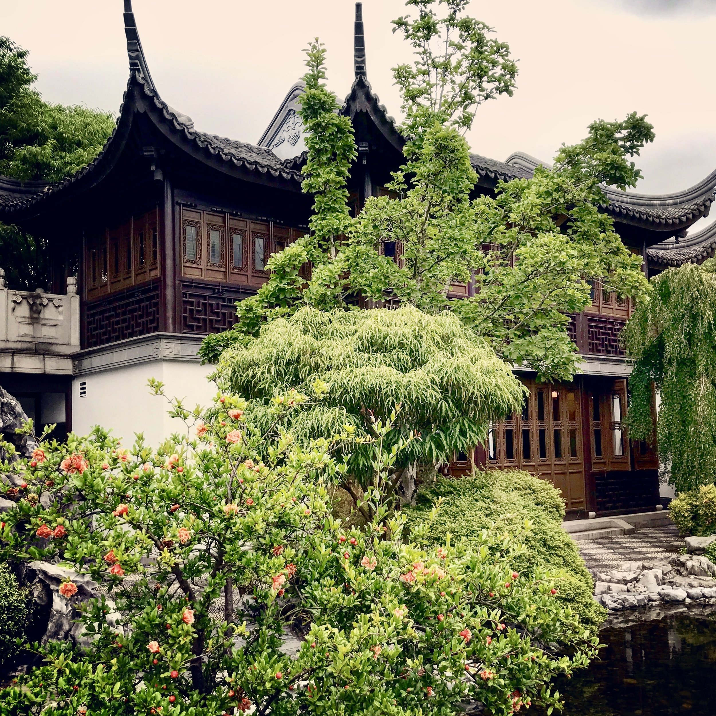 Lan Su Chinese Garden