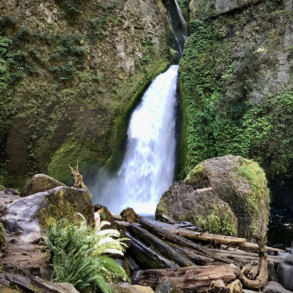 Wahclella Falls 