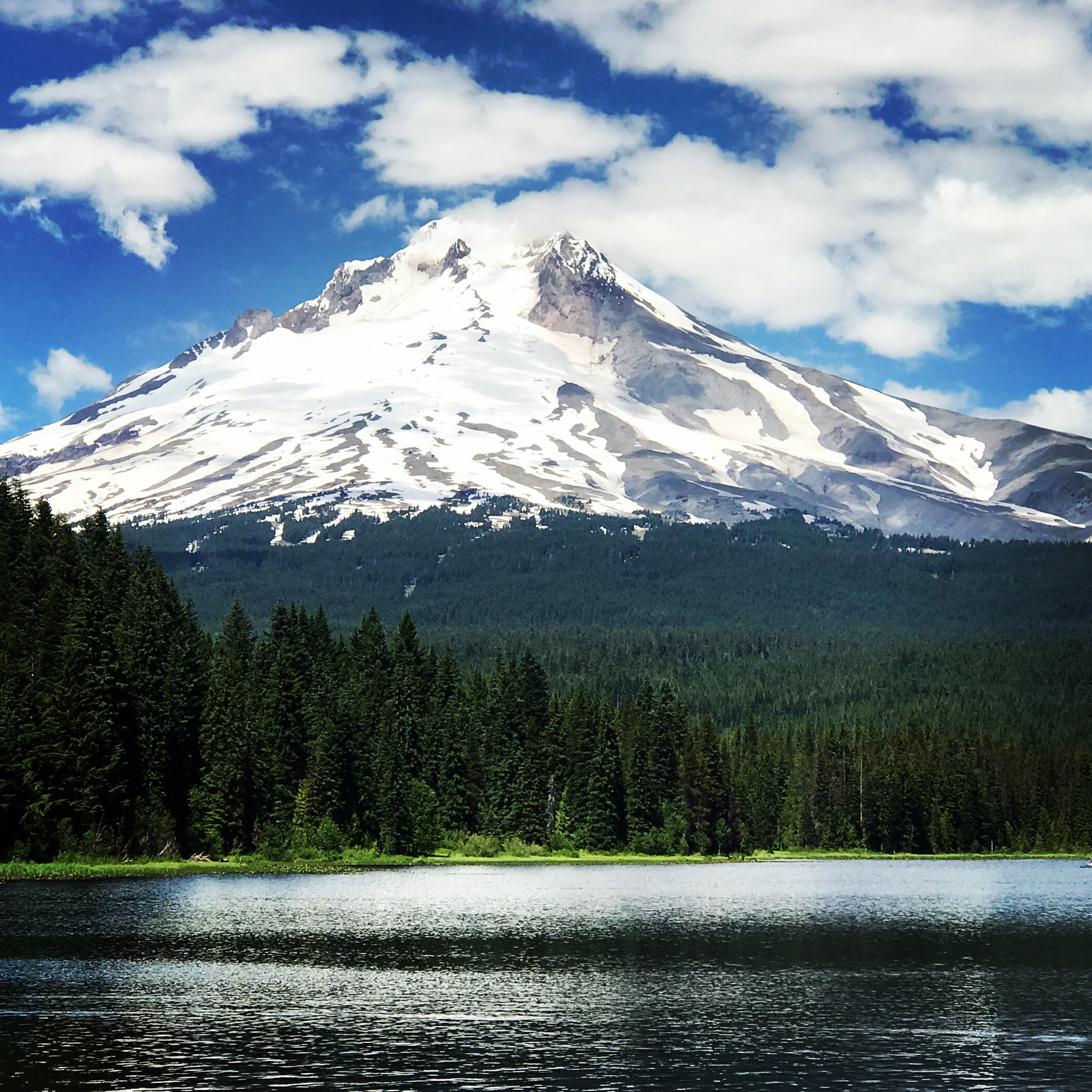 Mount Hood from Trillium Lake