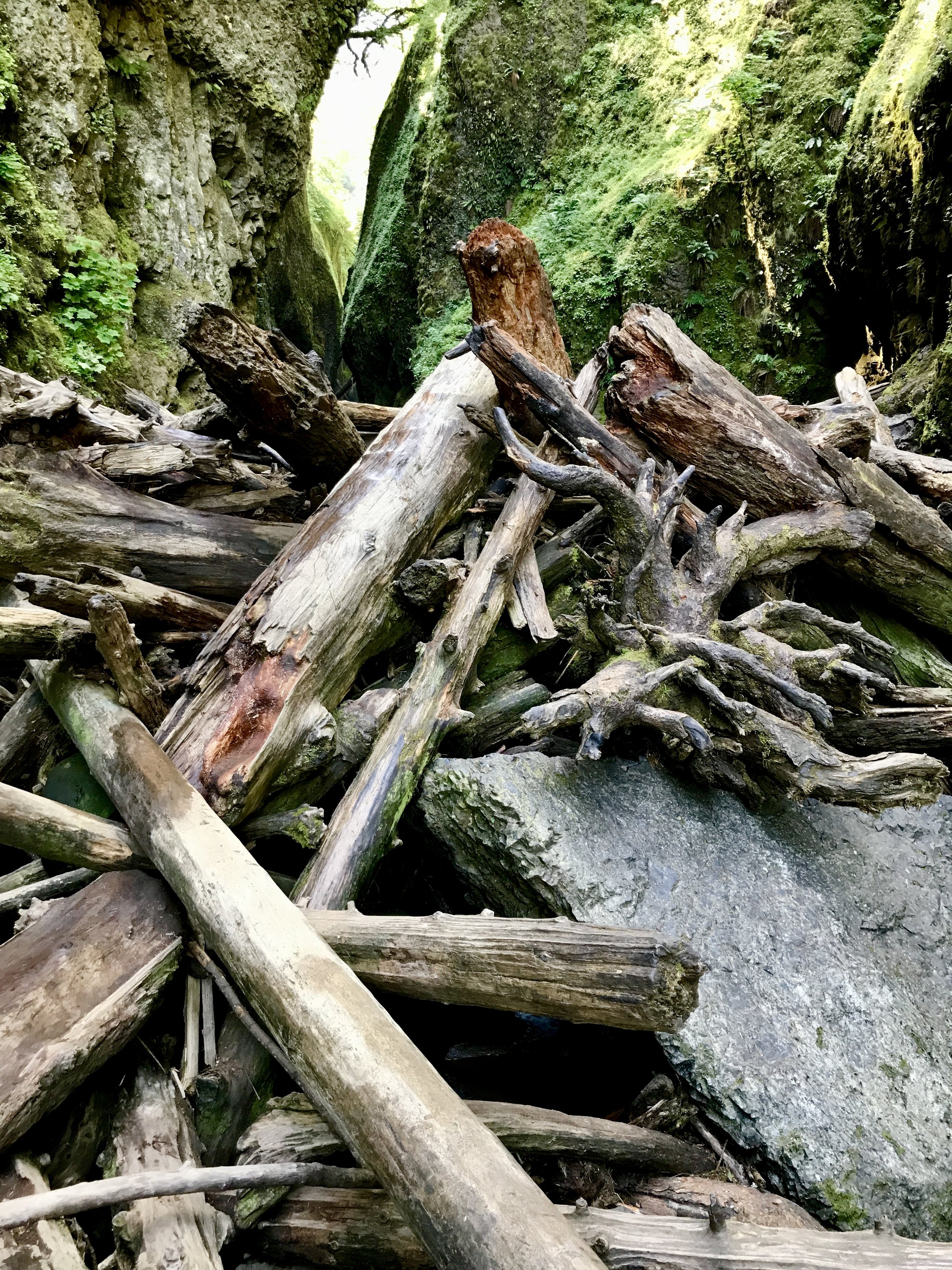 Log Jam at Oneonta Gorge - Exercise Caution