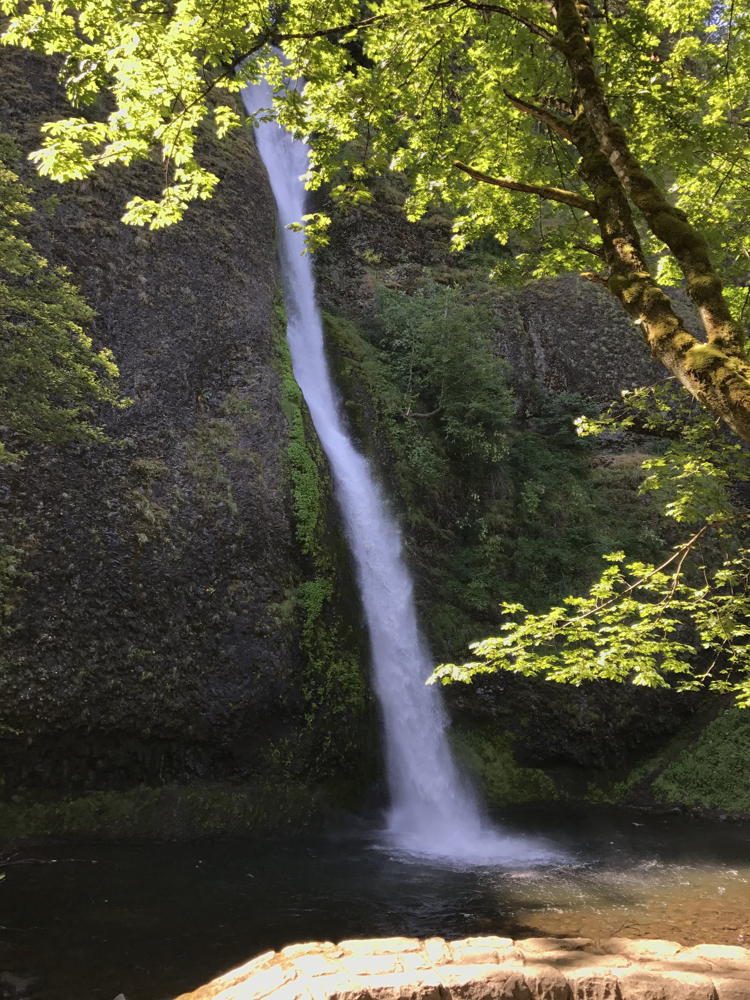 Horsetail Falls - Roadside Waterfall