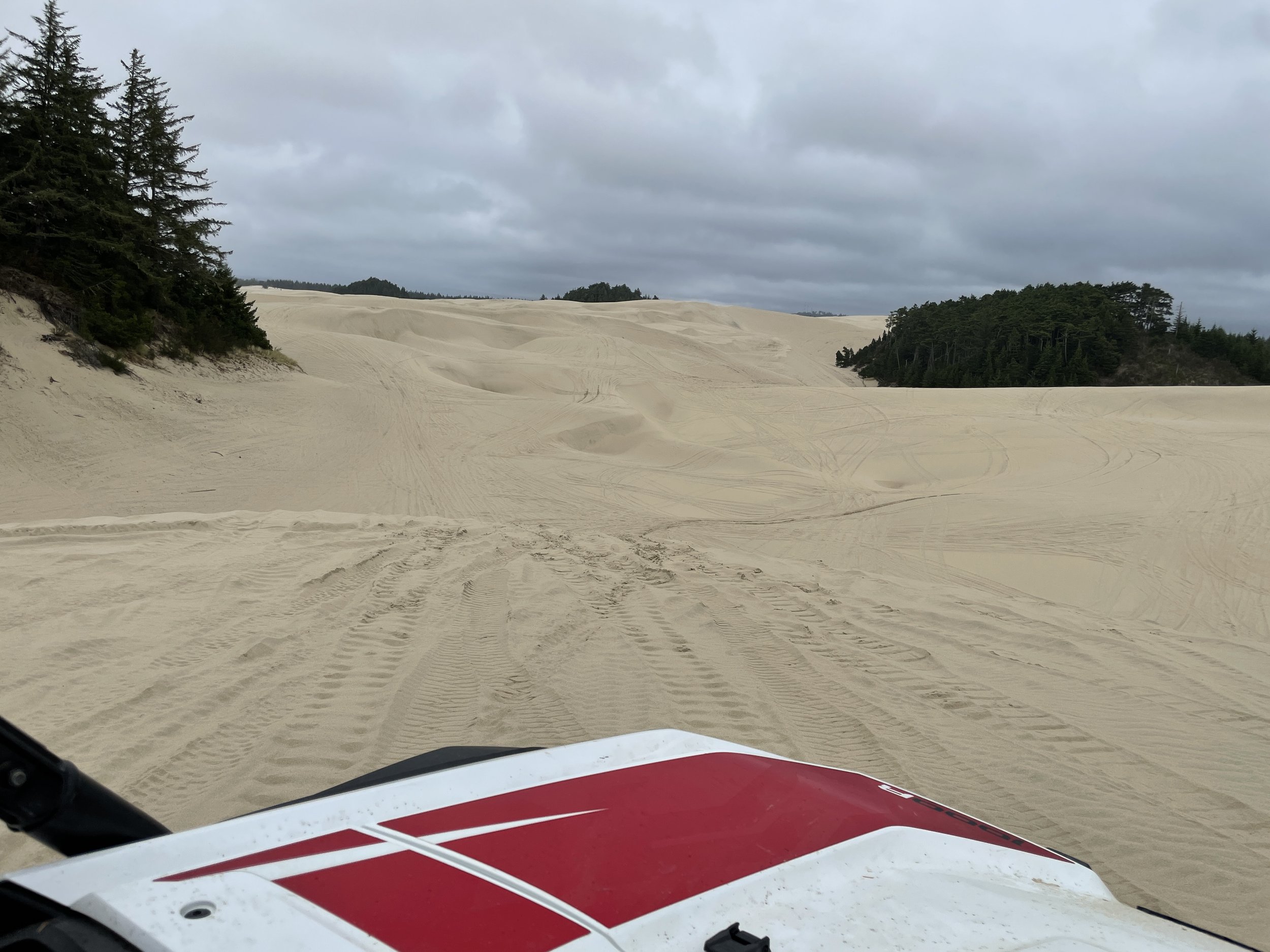 Riding ATVs on the Florence Dunes