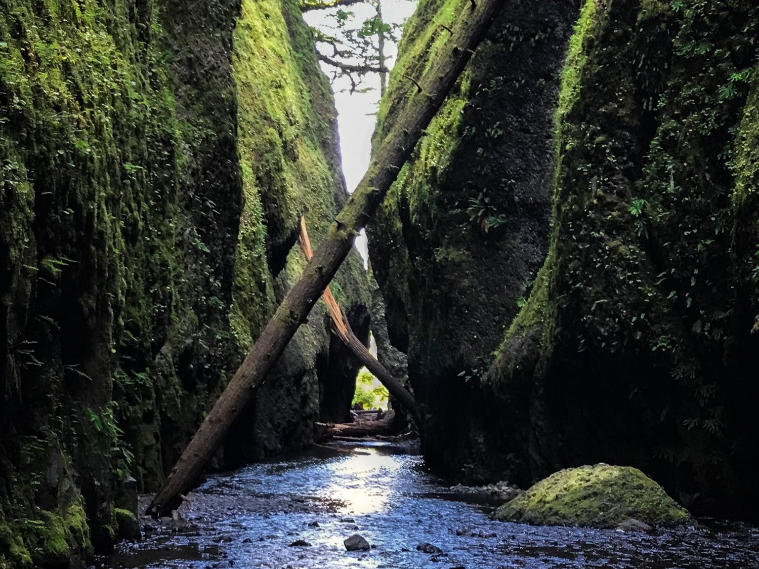 Oneonta Gorge (currently closed)