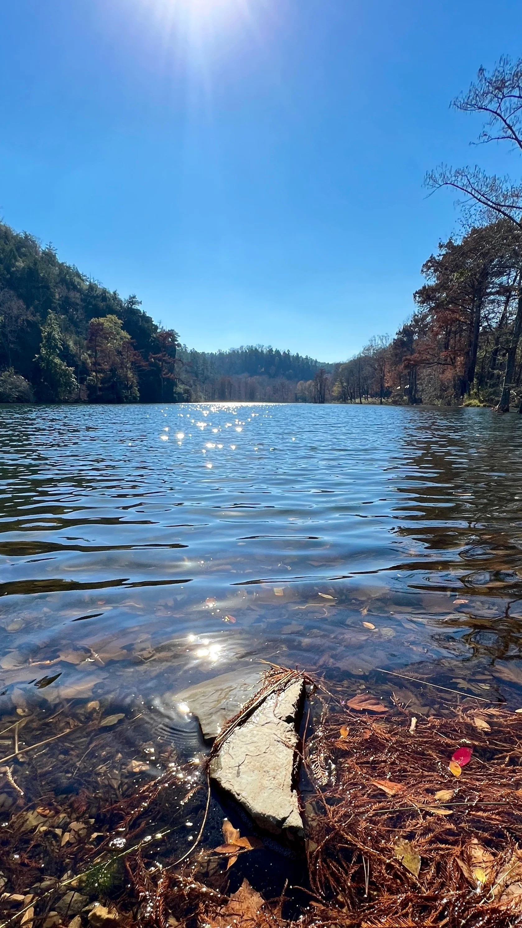 Water Reflections 