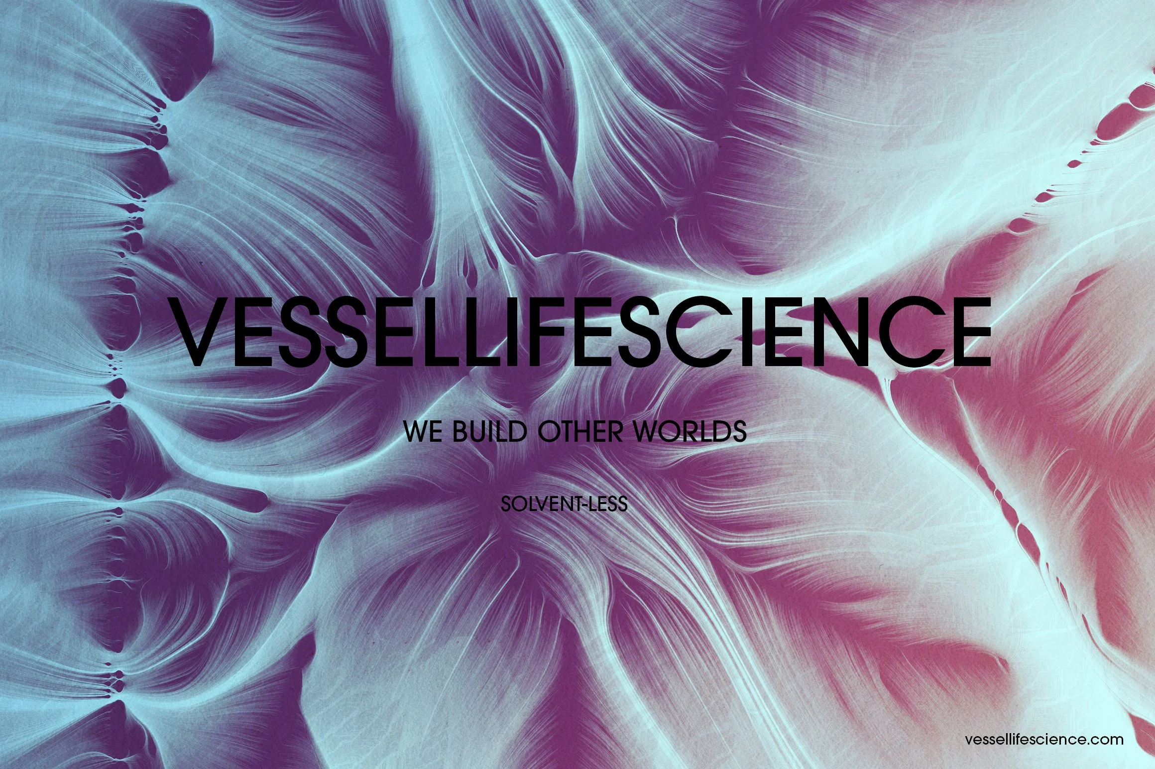 VLS_FLOW_LOGO.jpg