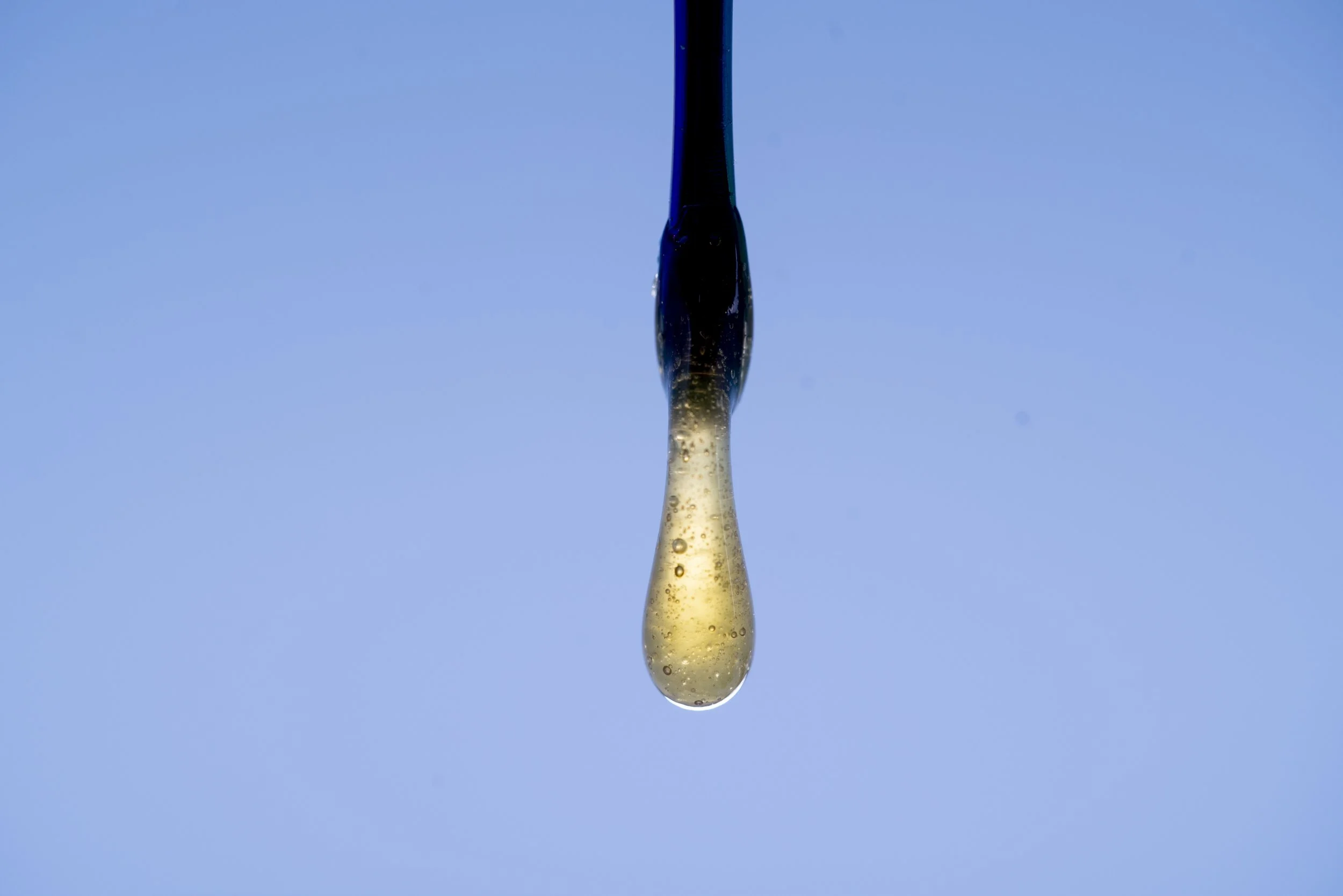 DRIP2021.jpg