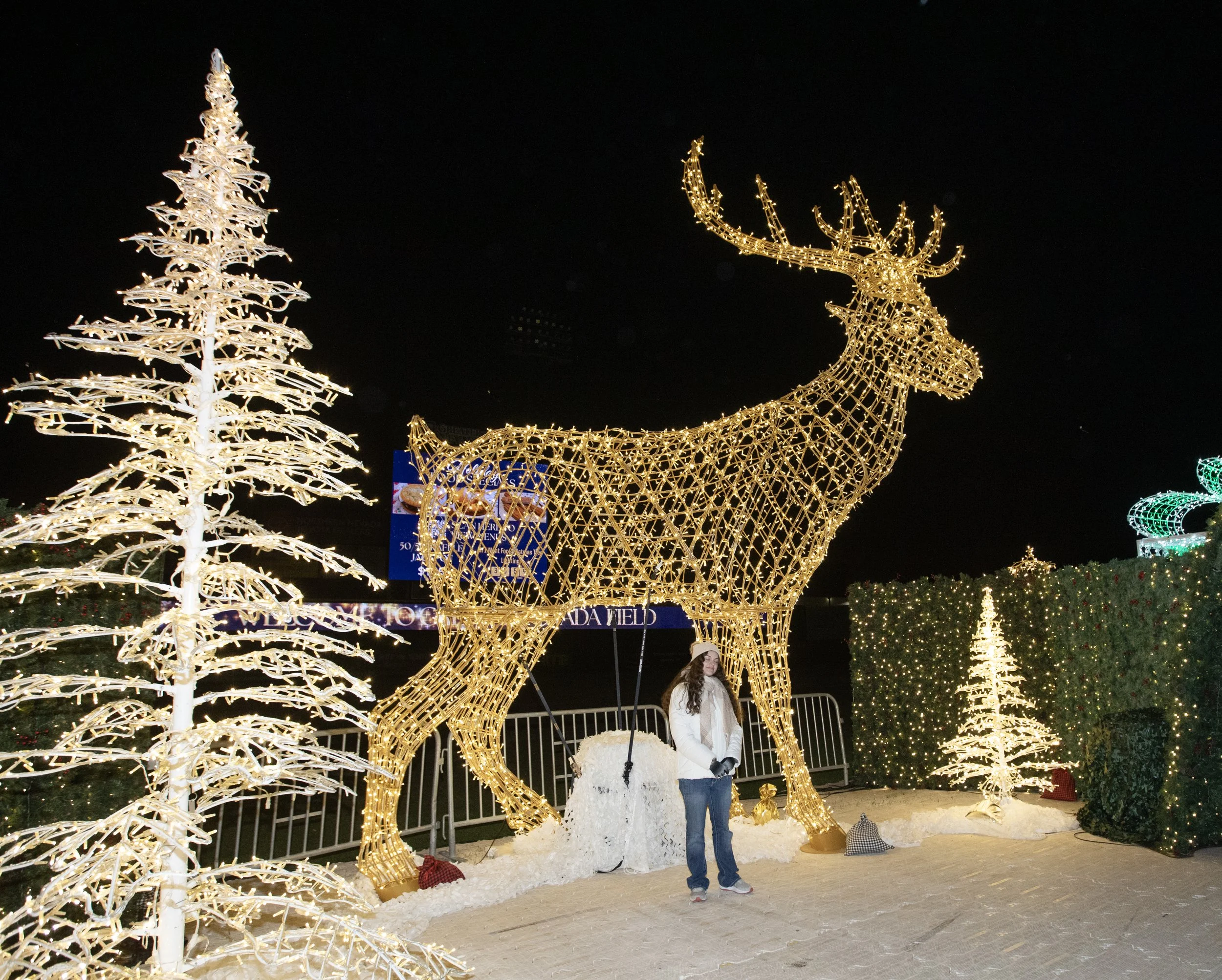 2025 Reno Aces Holiday Sat 6 109.jpg