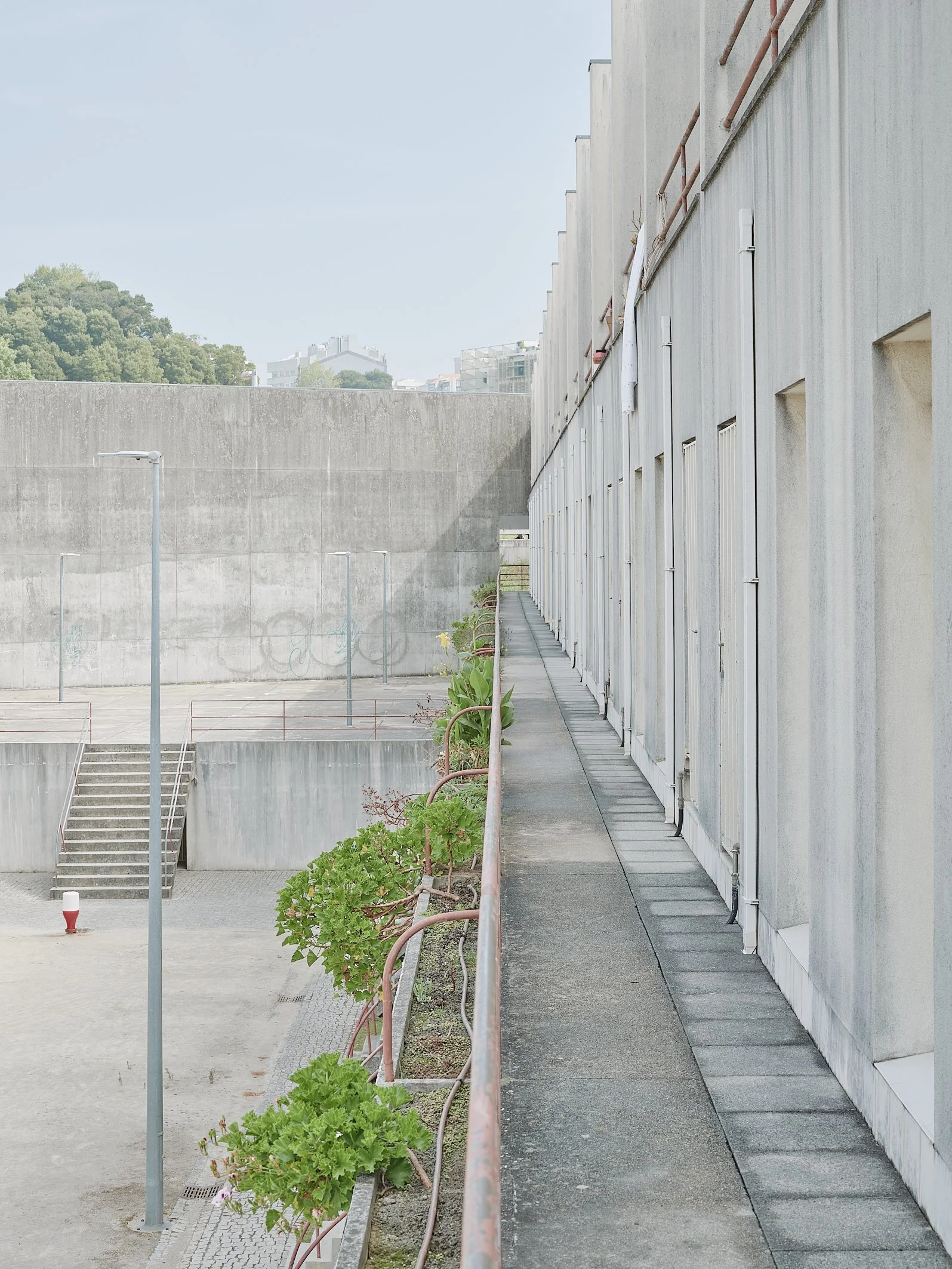 joao-pedro-leal-alvaro-siza-vieia-bouca-14.jpg