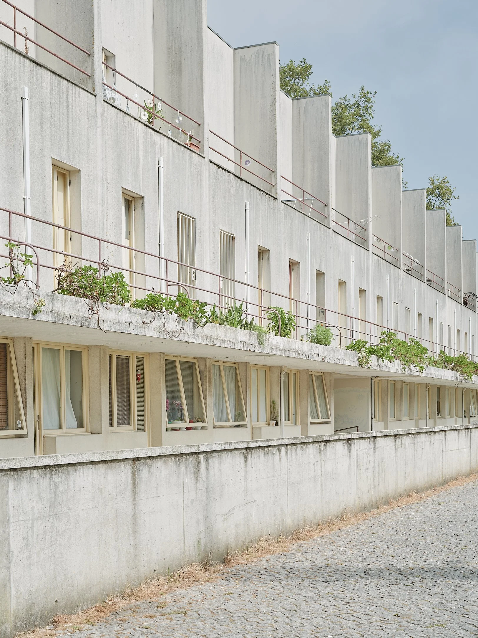 joao-pedro-leal-alvaro-siza-vieia-bouca-16.jpg