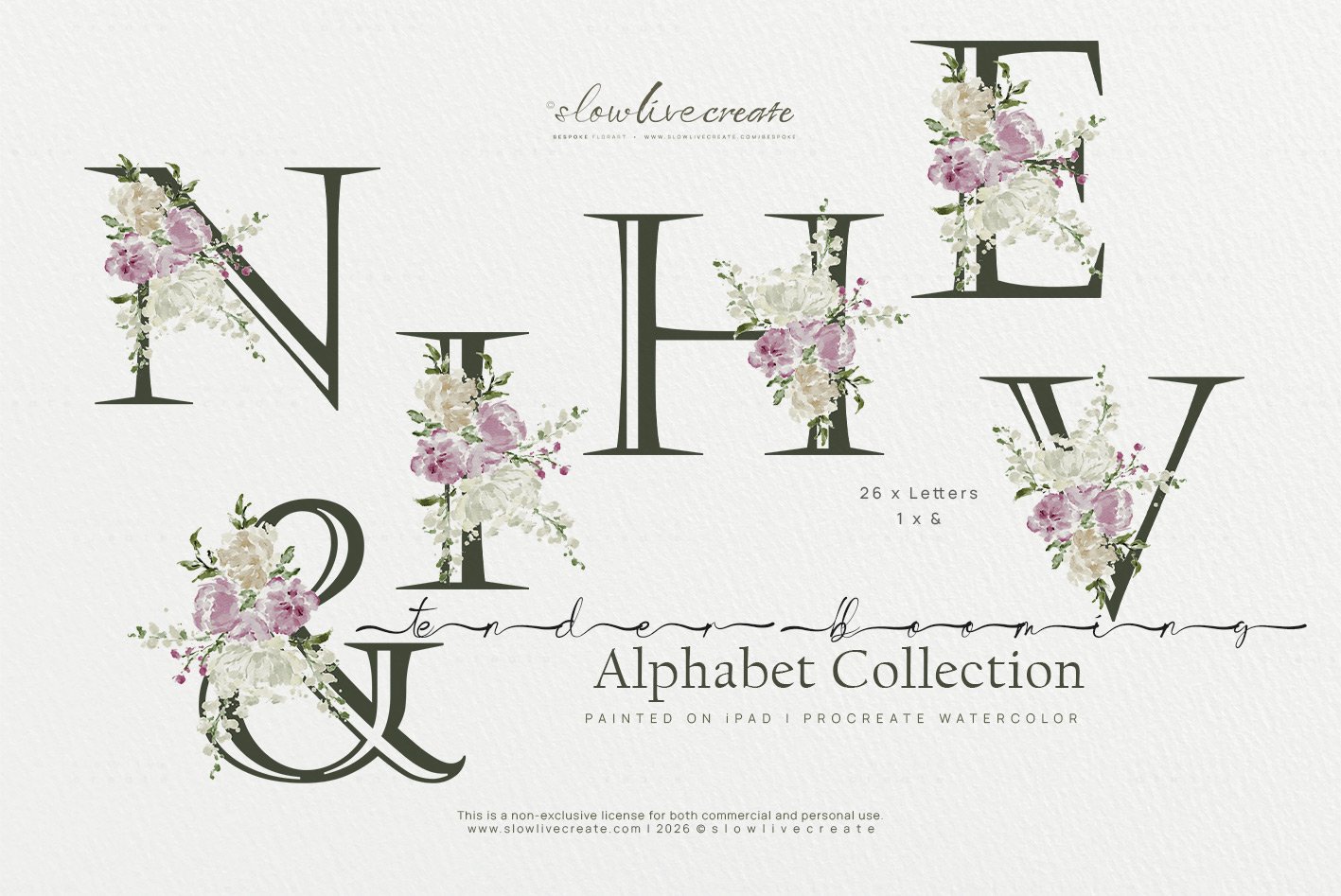 _pitchdeck-for 020626  (4).jpg