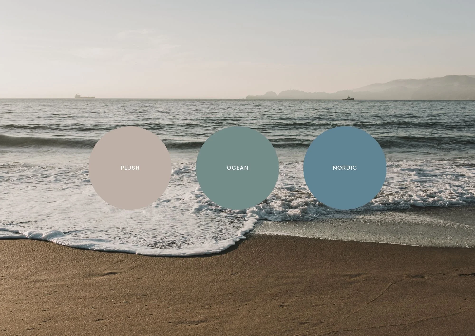 2026 Planner colors.jpg