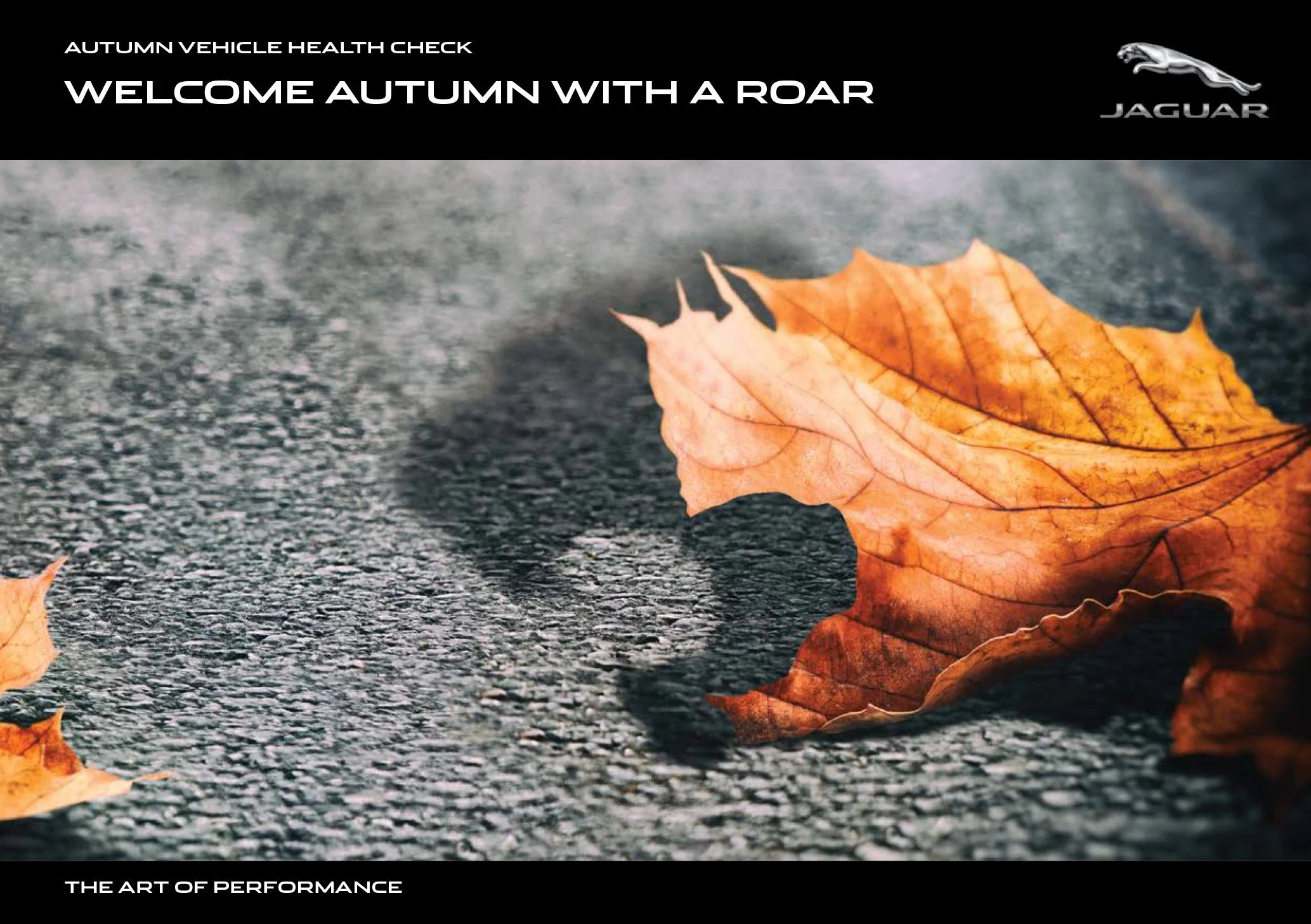 JAG Autumn Check DM 1 C.jpg