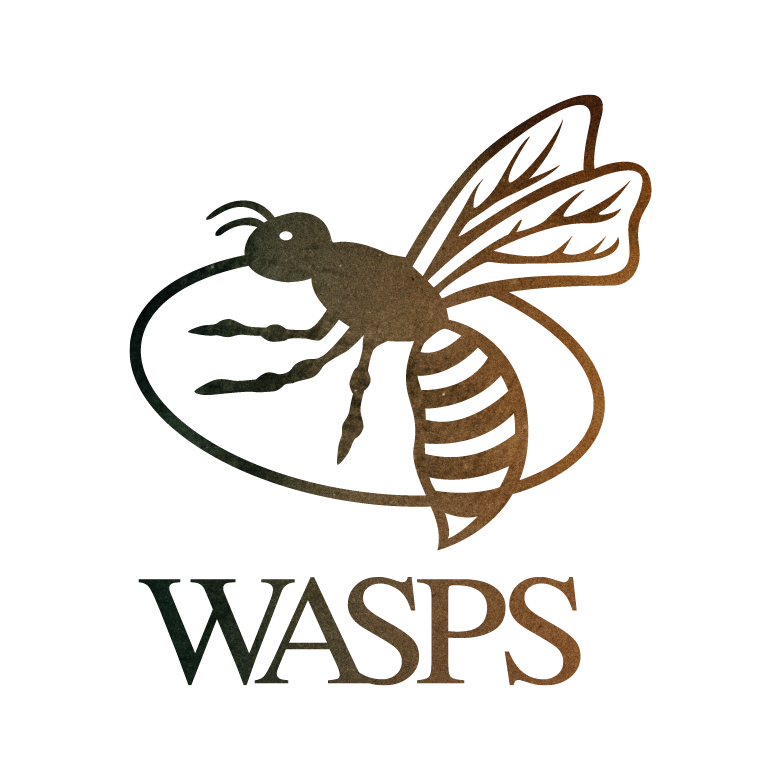 Wasps