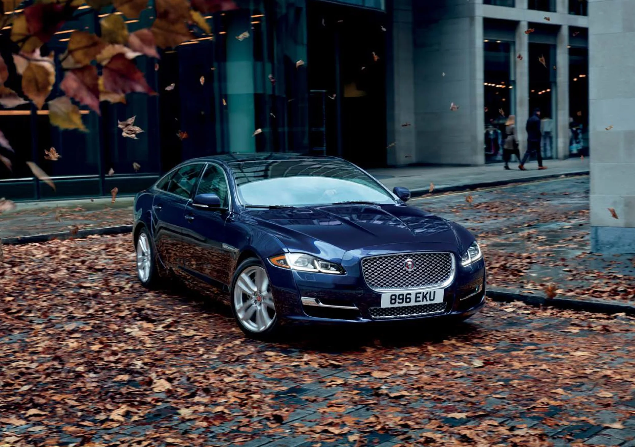 JAG Autumn Check DM 1 A.jpg